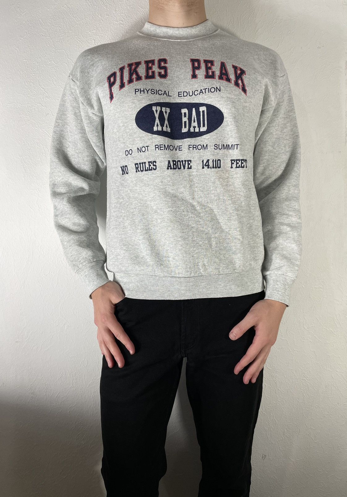 Fruit Of The Loom × Vintage Vintage Pikes Peak Phisical Education Sweatshirt Made in USA Size US L / EU 52-54 / 3 - 3 Thumbnail