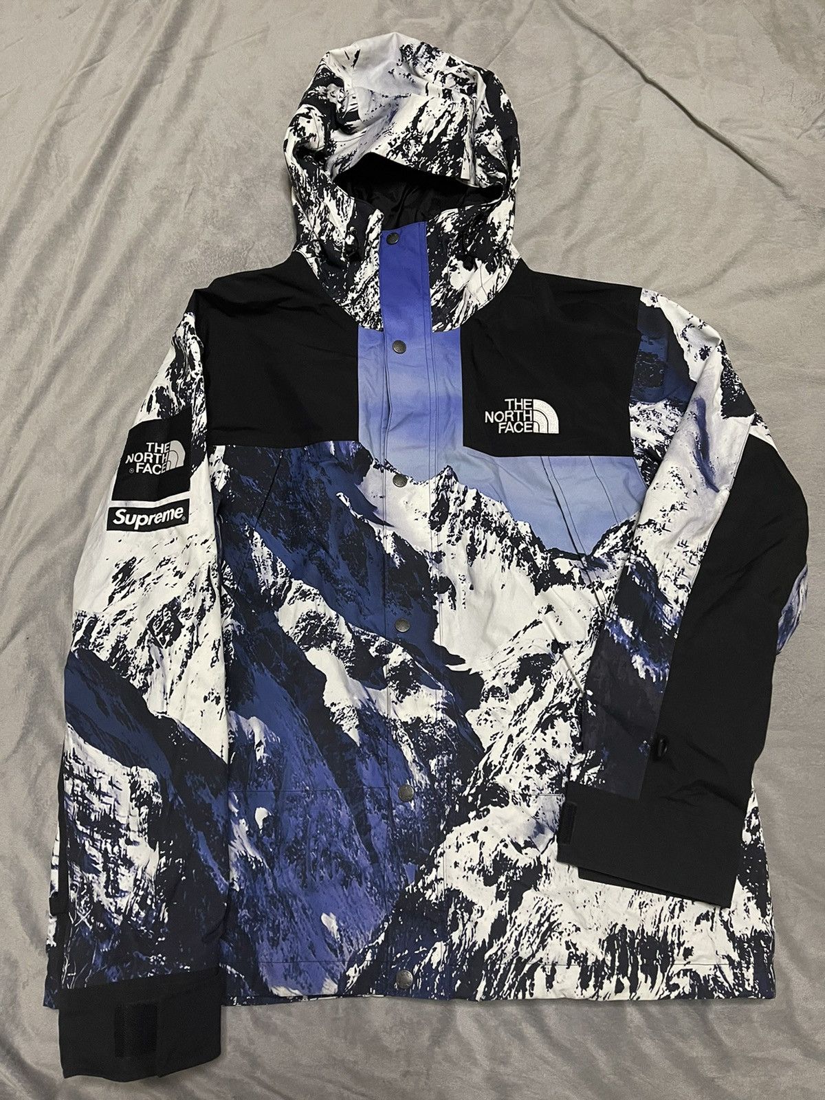 supreme the north face parka