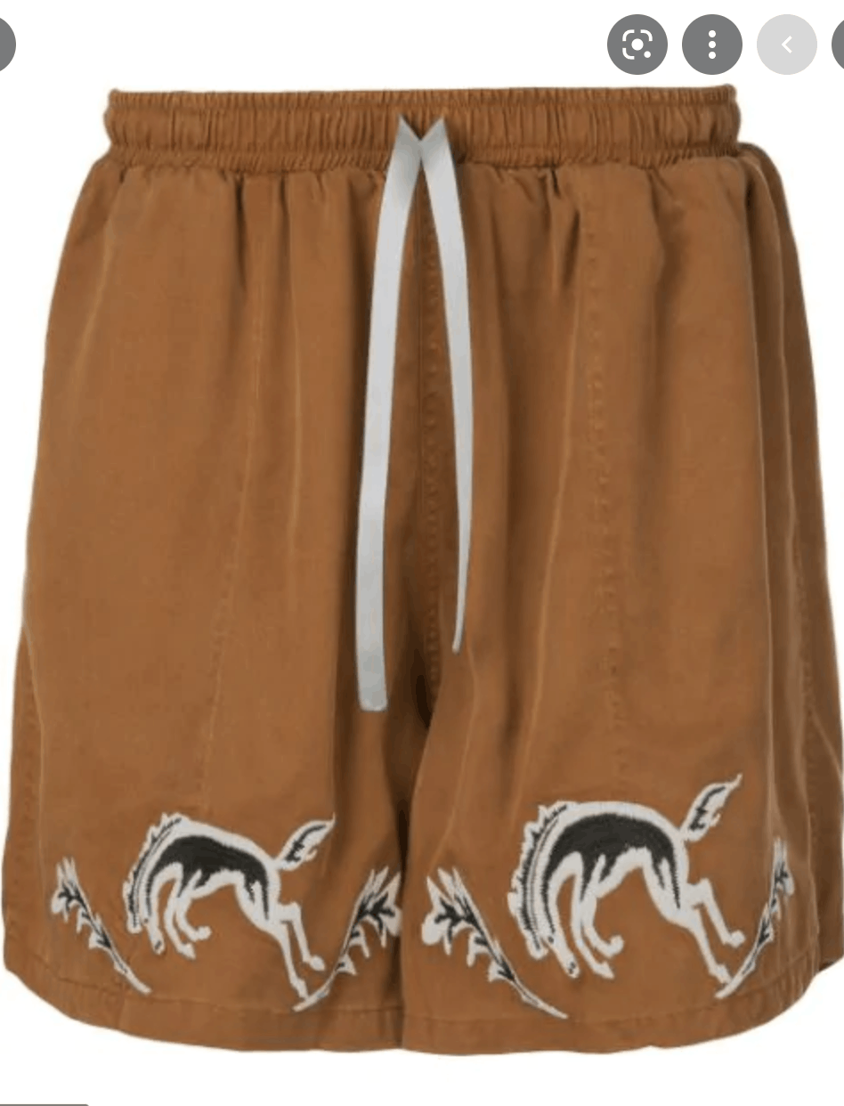 Lost Daze Lost Daze 'Western' Shorts Size US 32 / EU 48 - 1 Thumbnail