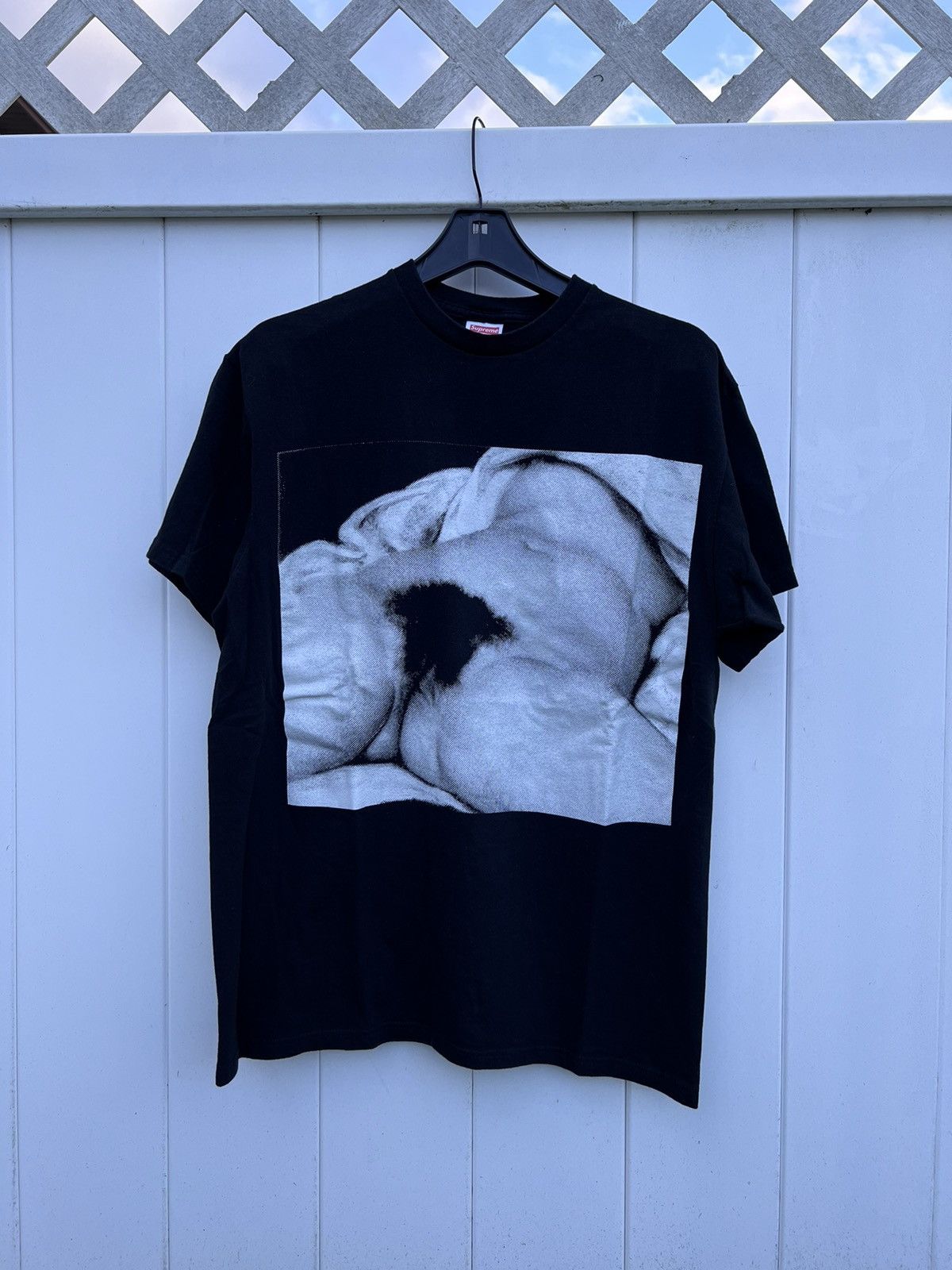 Supreme SUPREME HAIRY PUSSY T SHIRT SS12 Sz large | Grailed