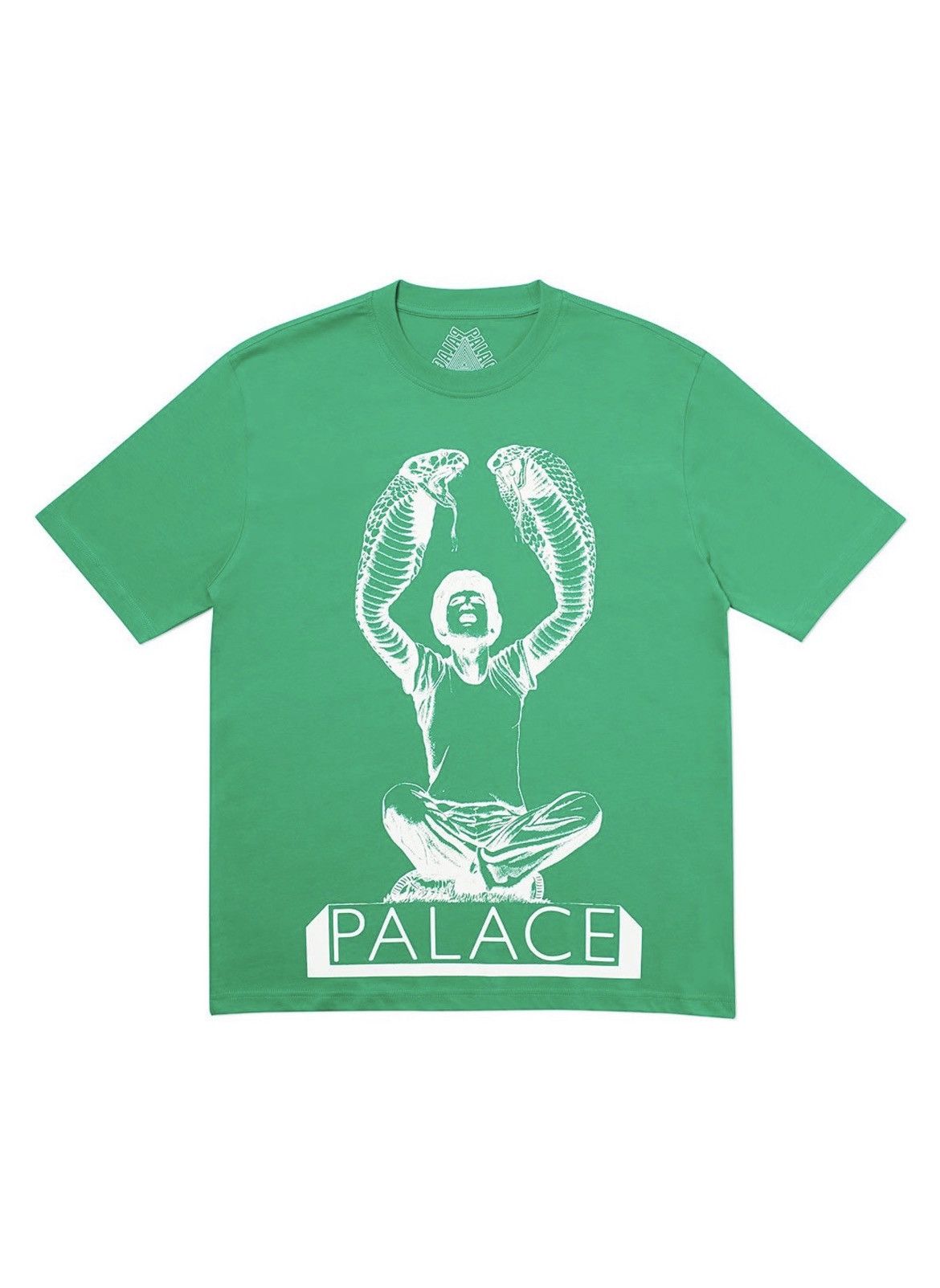 Palace Snakey T-Shirt - Large - Green | Grailed