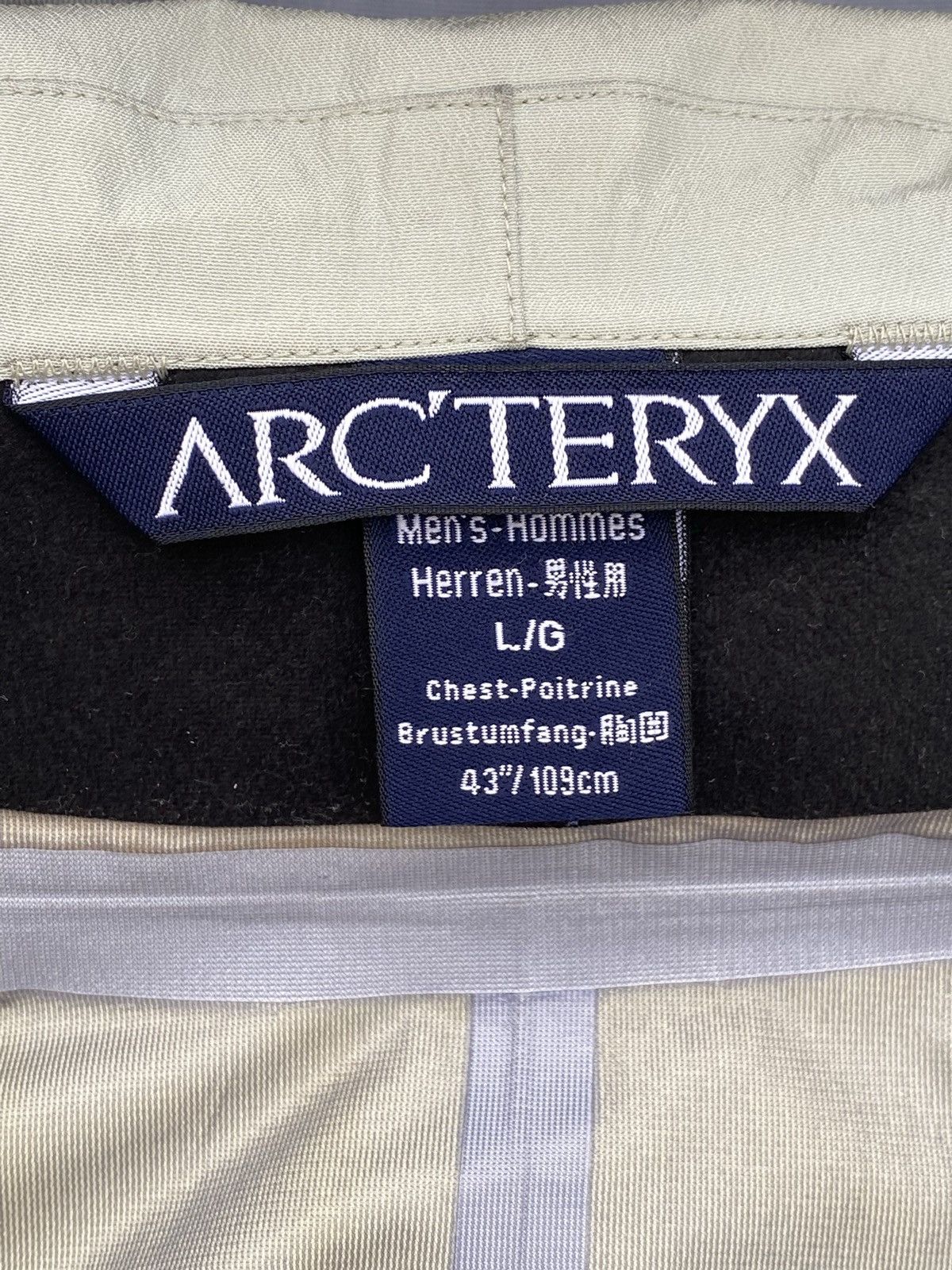 Arc'Teryx Arc'teryx Sidewinder AR - Statue | Grailed