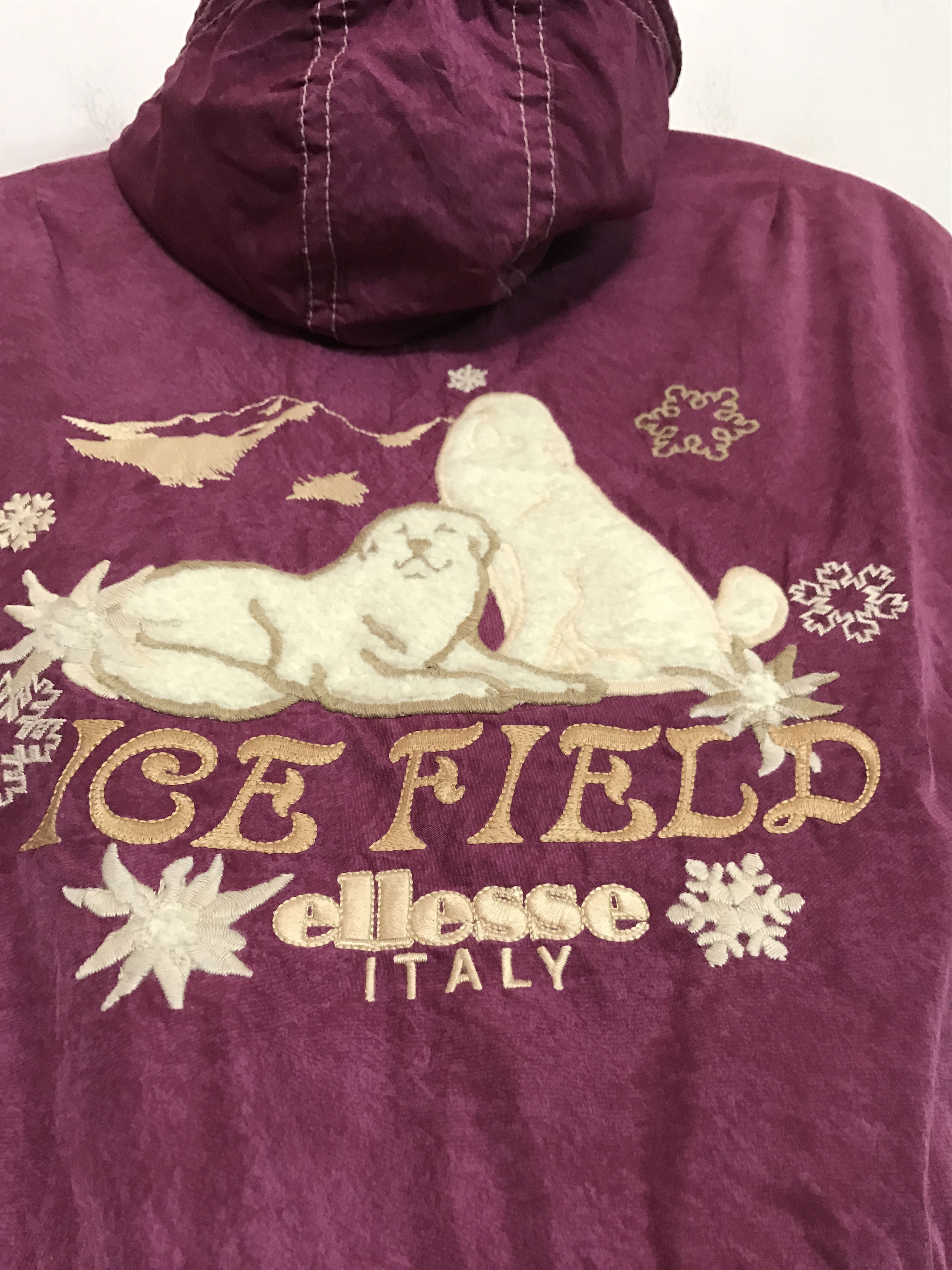 Ellesse ELLESSE Italy Ice Field Lined Hooded Ski Jacket Size US M / EU 48-50 / 2 - 2 Thumbnail