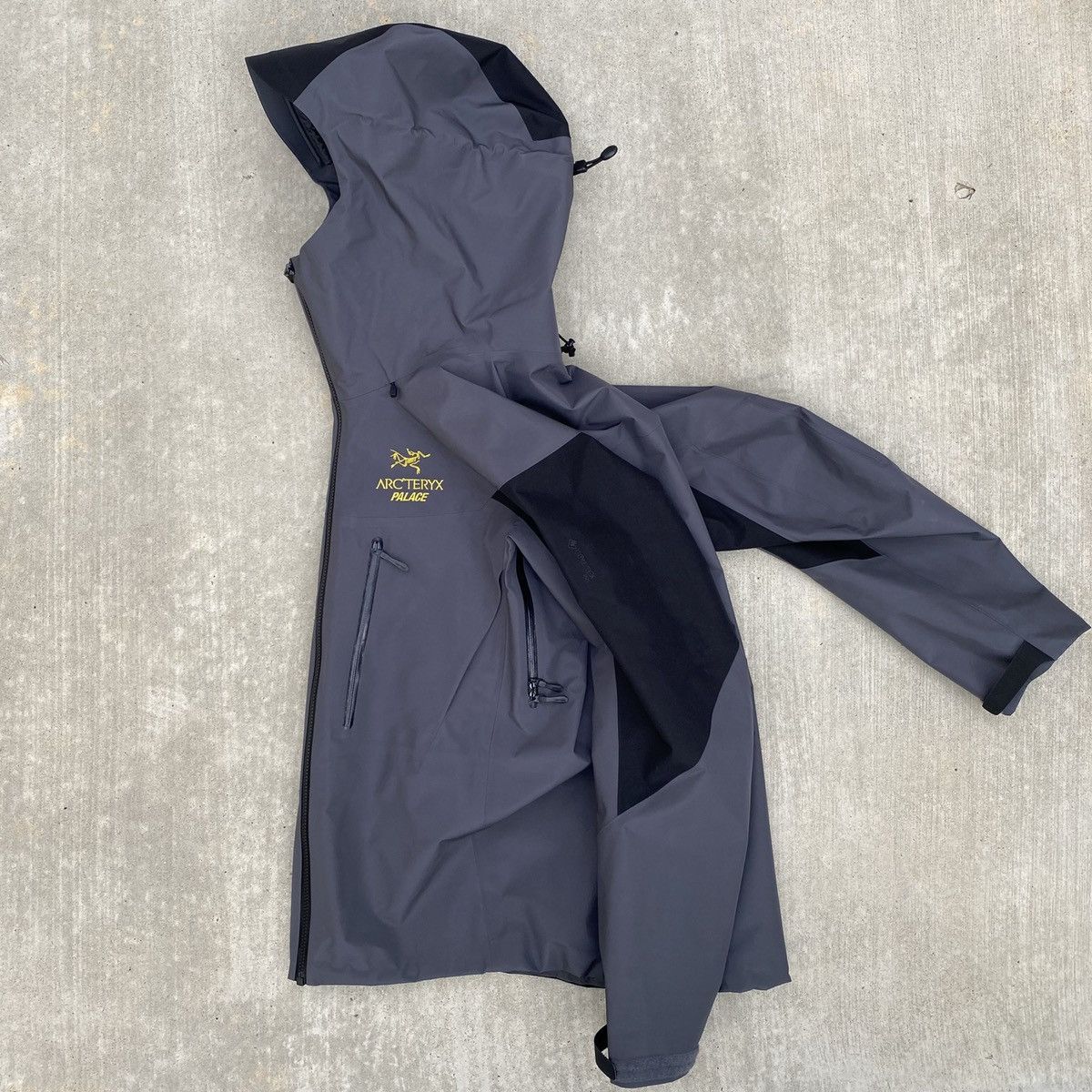 Arc'Teryx Arc'teryx x Palace Alpha SV FW20 | Grailed