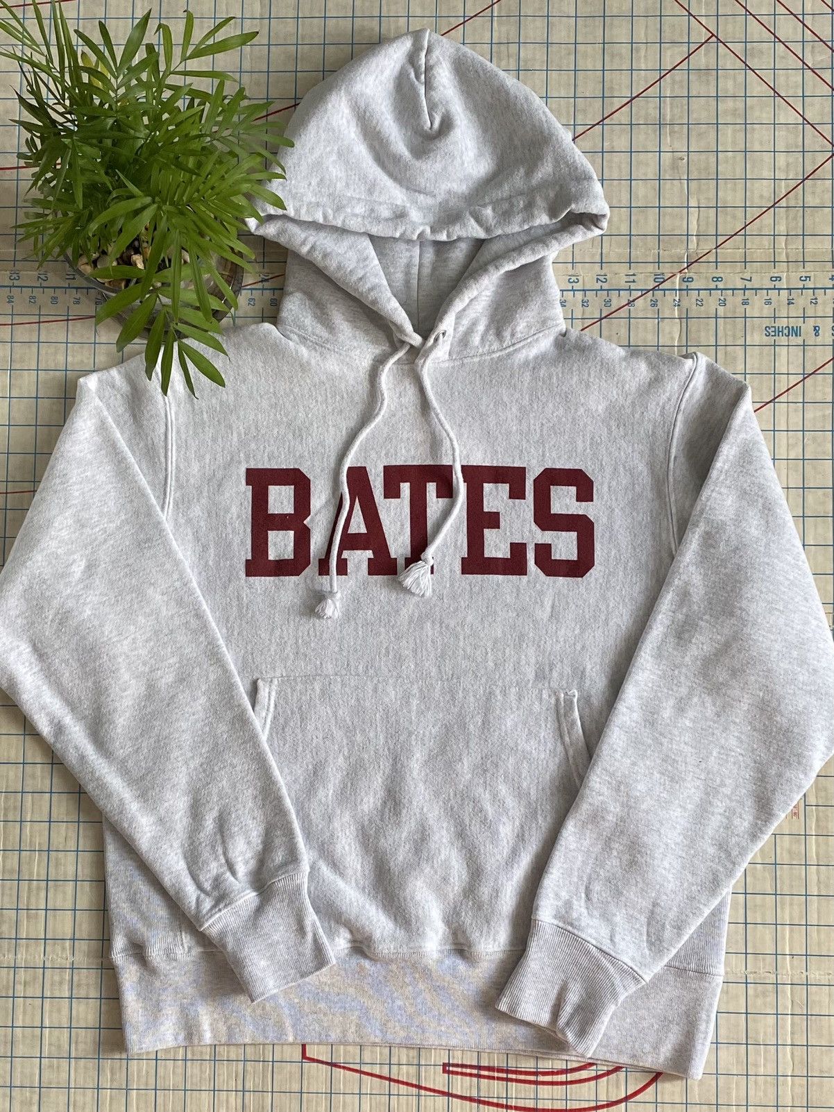 Champion × Vintage Champion Bates College Collegiate Hoodie Heather Grey Medium Size US M / EU 48-50 / 2 - 1 Thumbnail