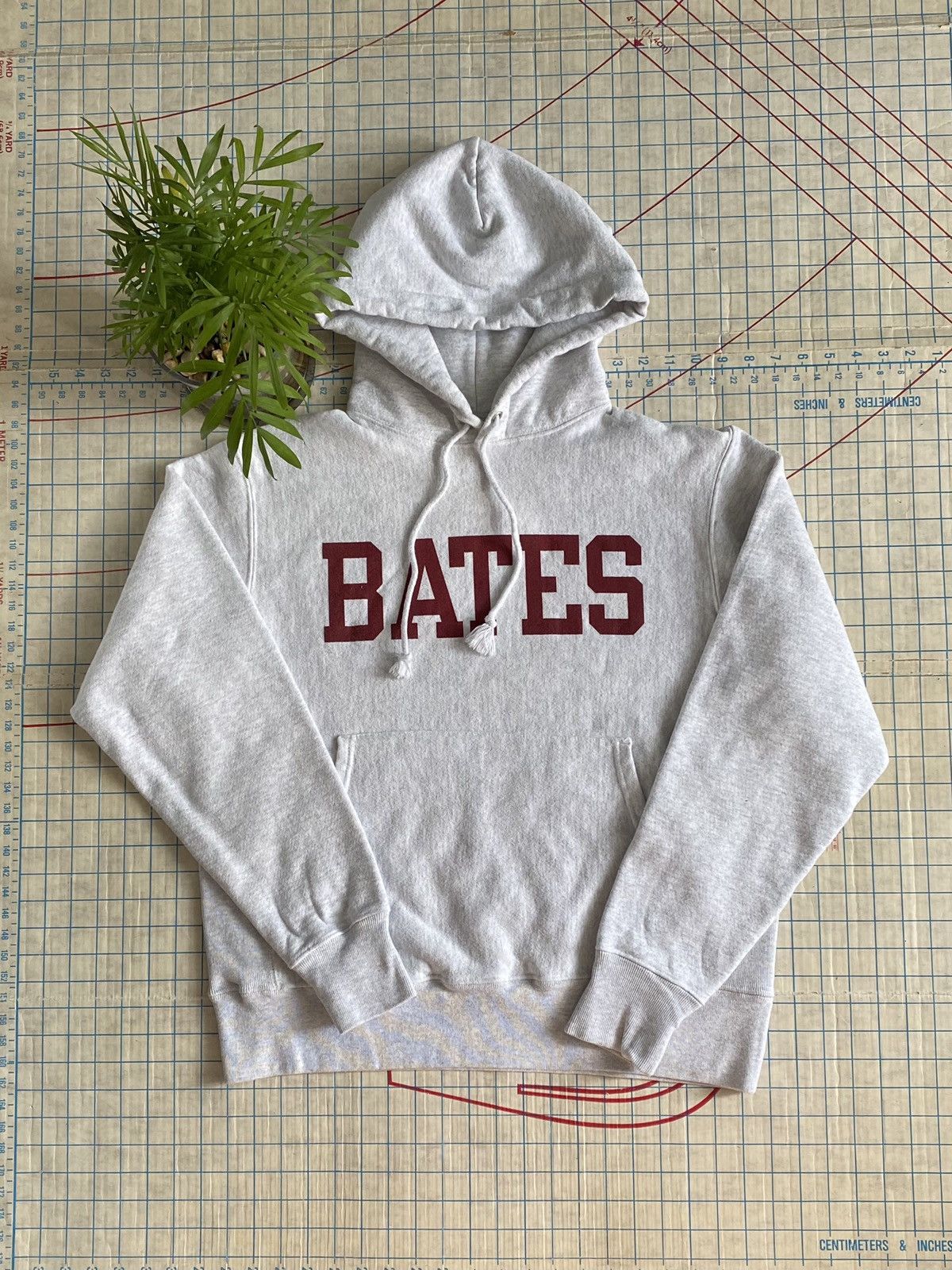 Champion × Vintage Champion Bates College Collegiate Hoodie Heather Grey Medium Size US M / EU 48-50 / 2 - 2 Thumbnail