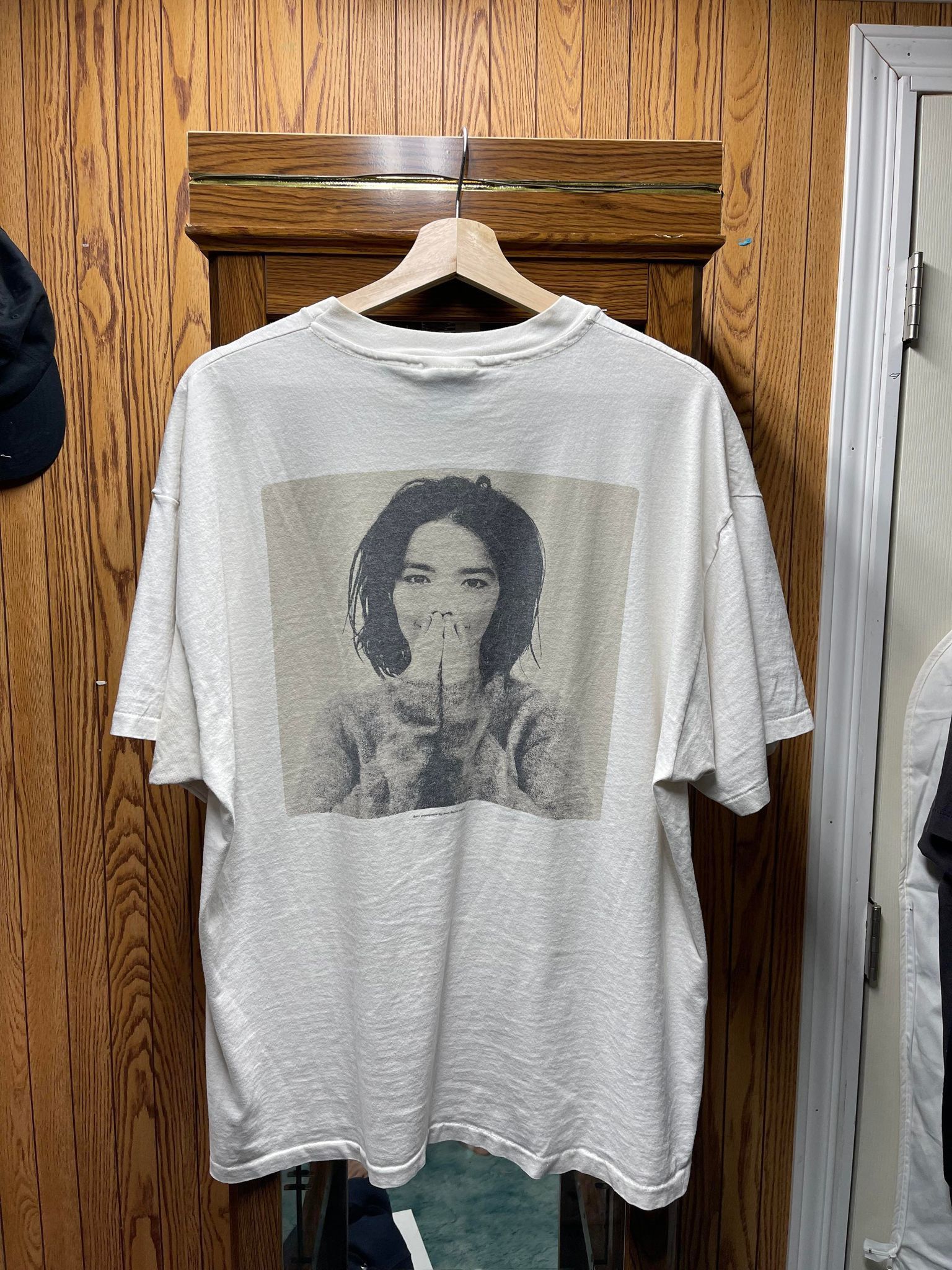 Vintage Vintage Bjork 1993 Debut tee | Grailed