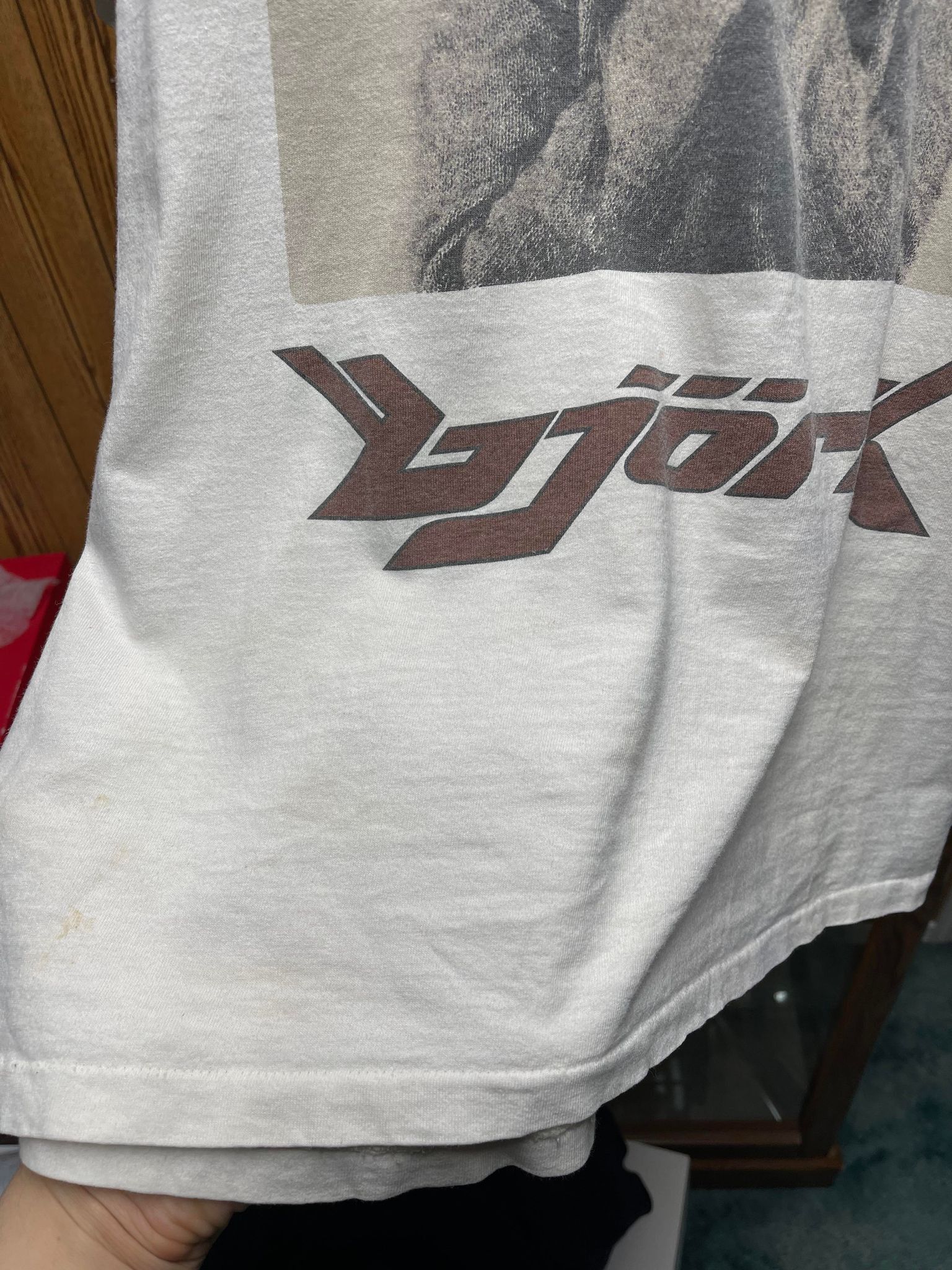 Vintage Vintage Bjork 1993 Debut tee Size US XL / EU 56 / 4 - 5 Thumbnail