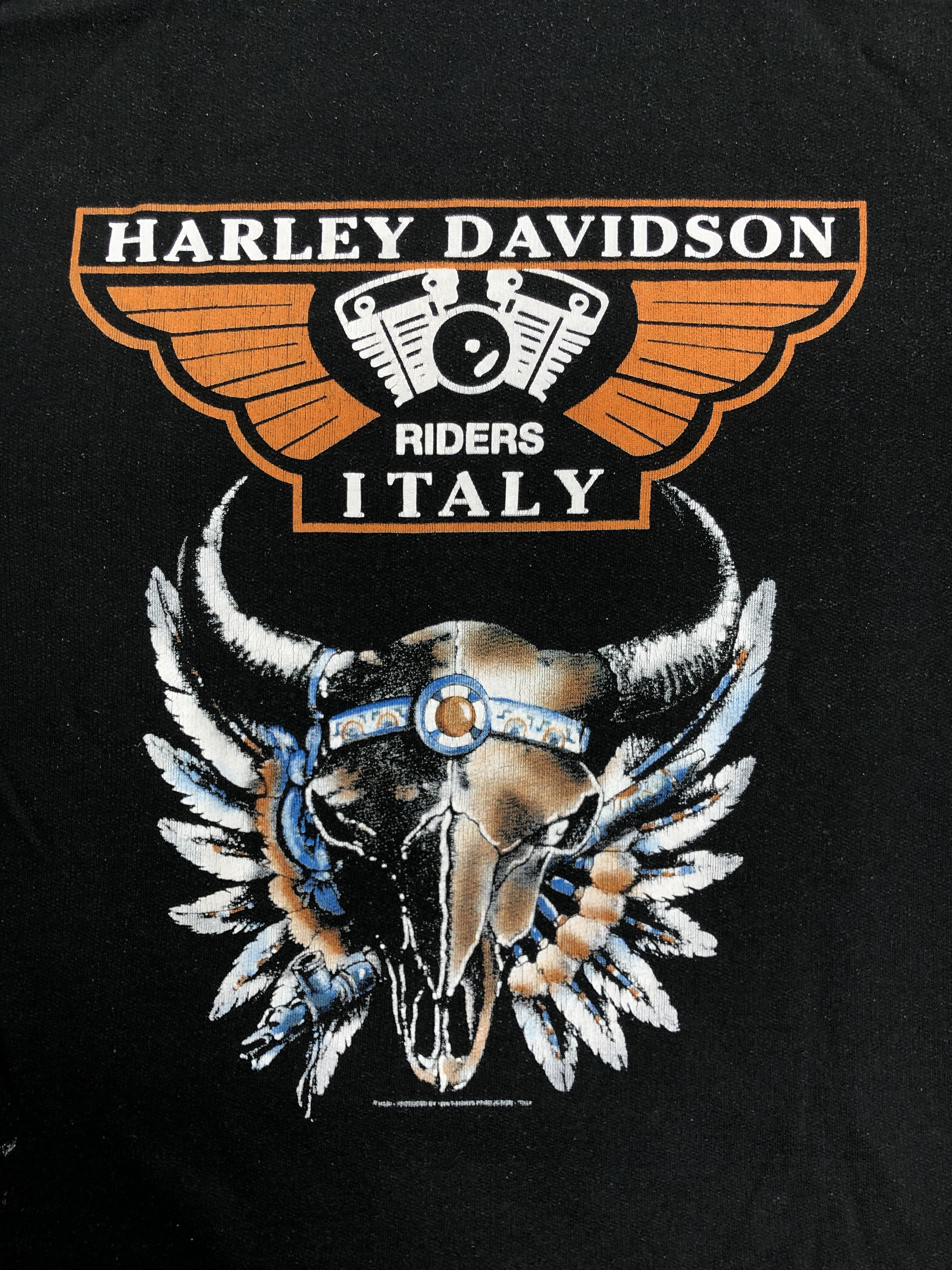 Harley Davidson Vintage 1999 Harley Davidson Italy Indian hoodie Size US L / EU 52-54 / 3 - 15 Thumbnail