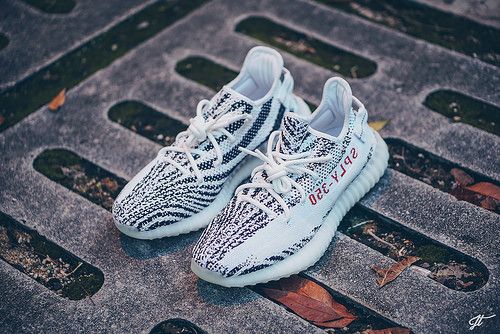 Kanye west hotsell yeezy zebra