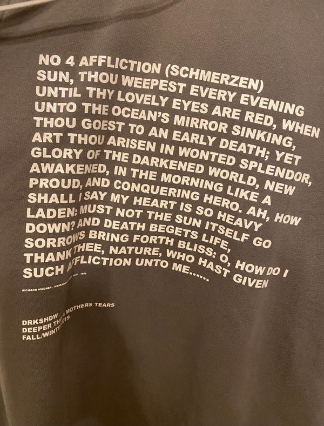 Rick Owens × Rick Owens Drkshdw Pain Hoddie S Size US M / EU 48-50 / 2 - 2 Thumbnail