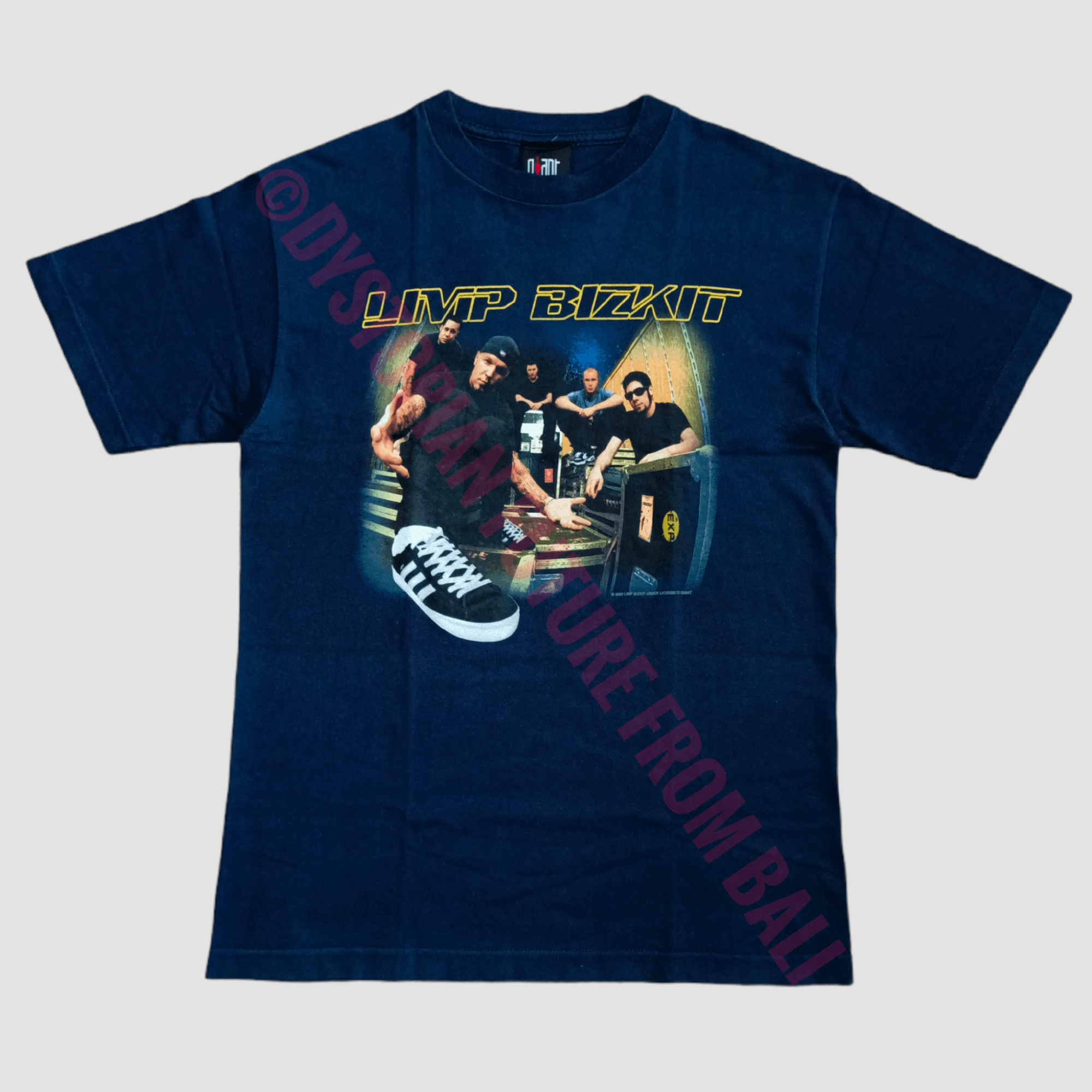 Vintage 2000 Limp Bizkit World Tour T-shirt