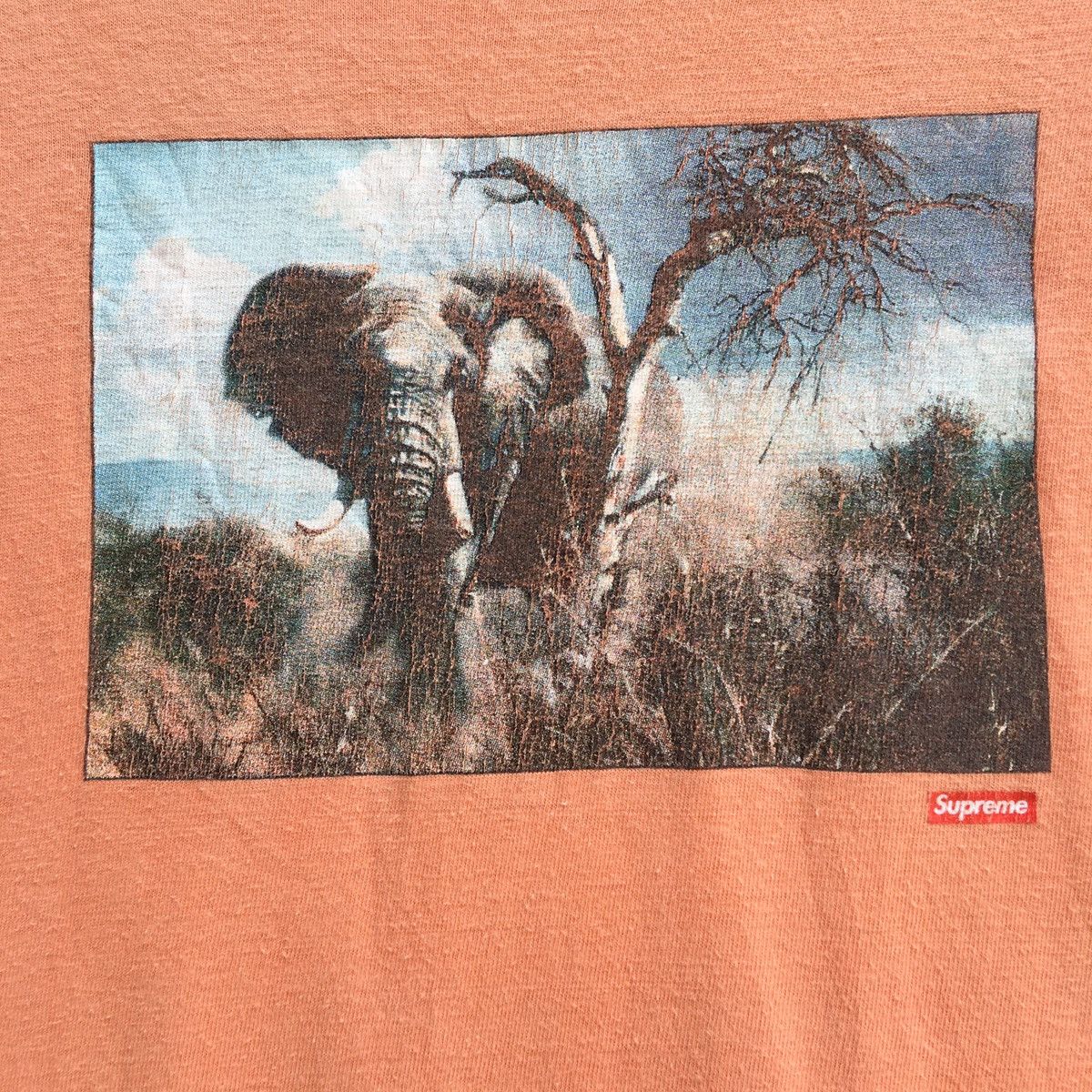 Supreme Rare SS11 Supreme Safari Elephant Print Tee Size US M / EU 48-50 / 2 - 5 Thumbnail