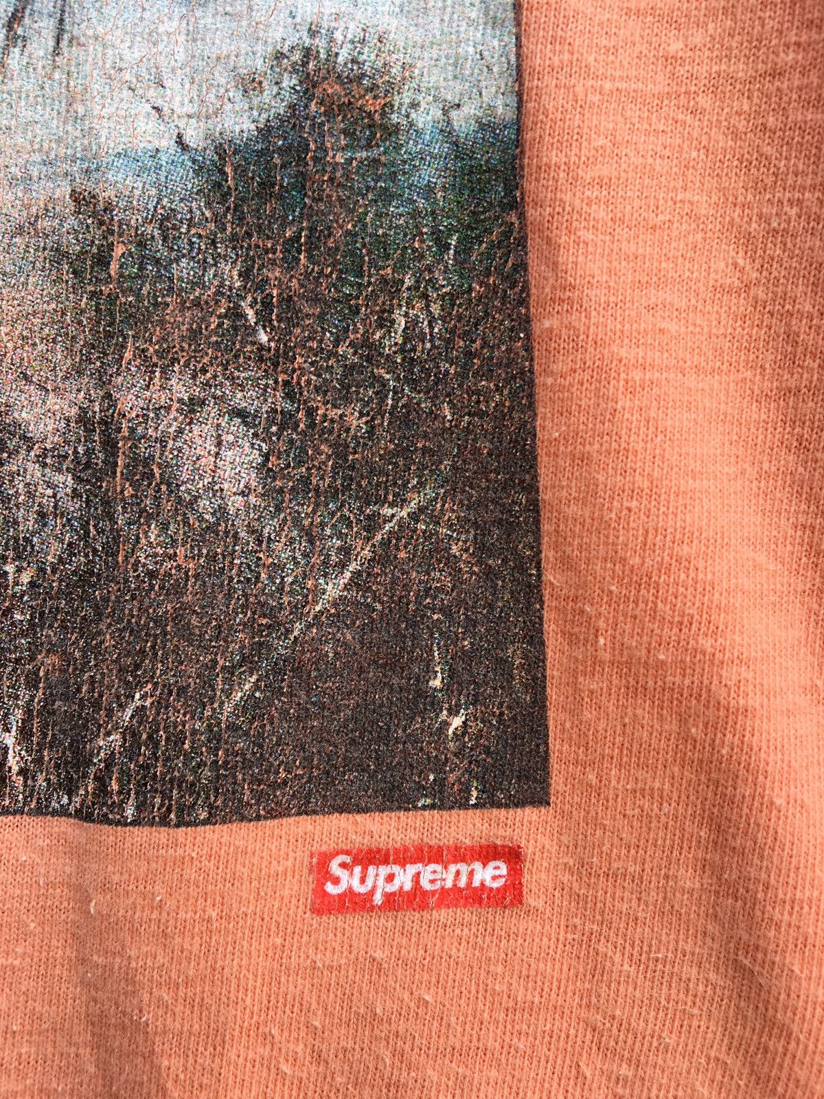 Supreme Rare SS11 Supreme Safari Elephant Print Tee Size US M / EU 48-50 / 2 - 12 Thumbnail