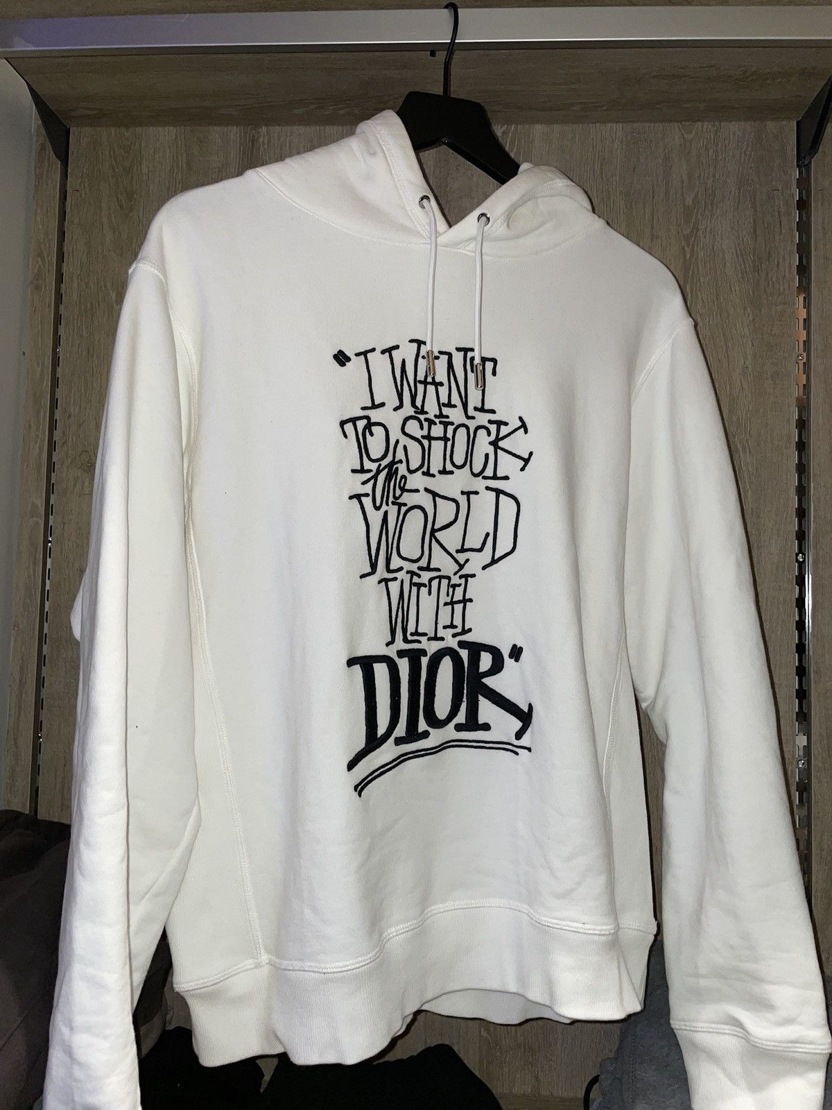 Dior Christian Dior x Shawn Stussy hoodie | Grailed