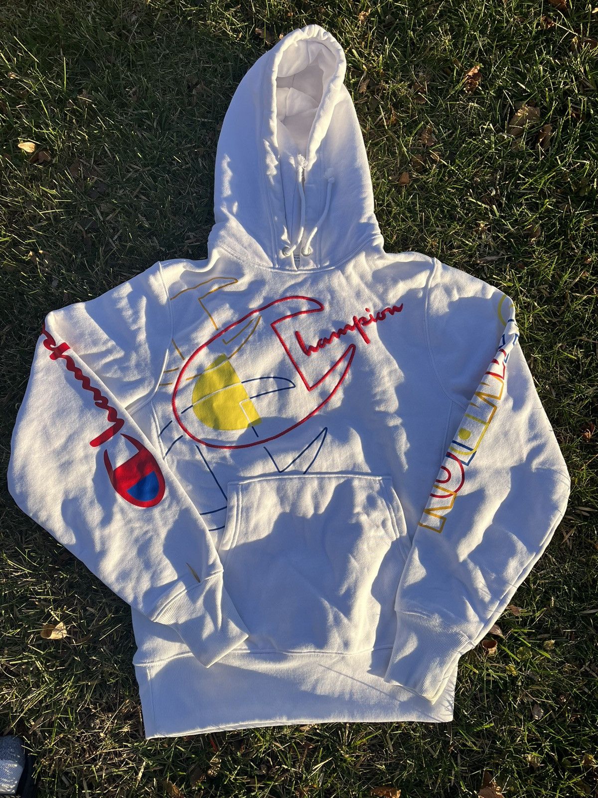Champion Champion Multicolor Hoodie Grailed