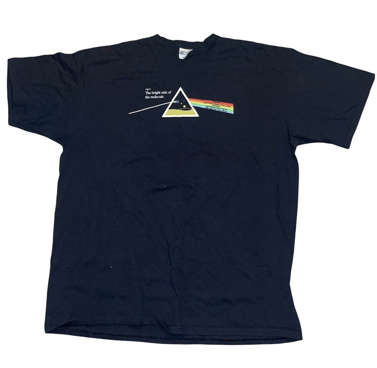 Streetwear 420 Pink Floyd Dark side of the Molecule T-Shirt | Grailed