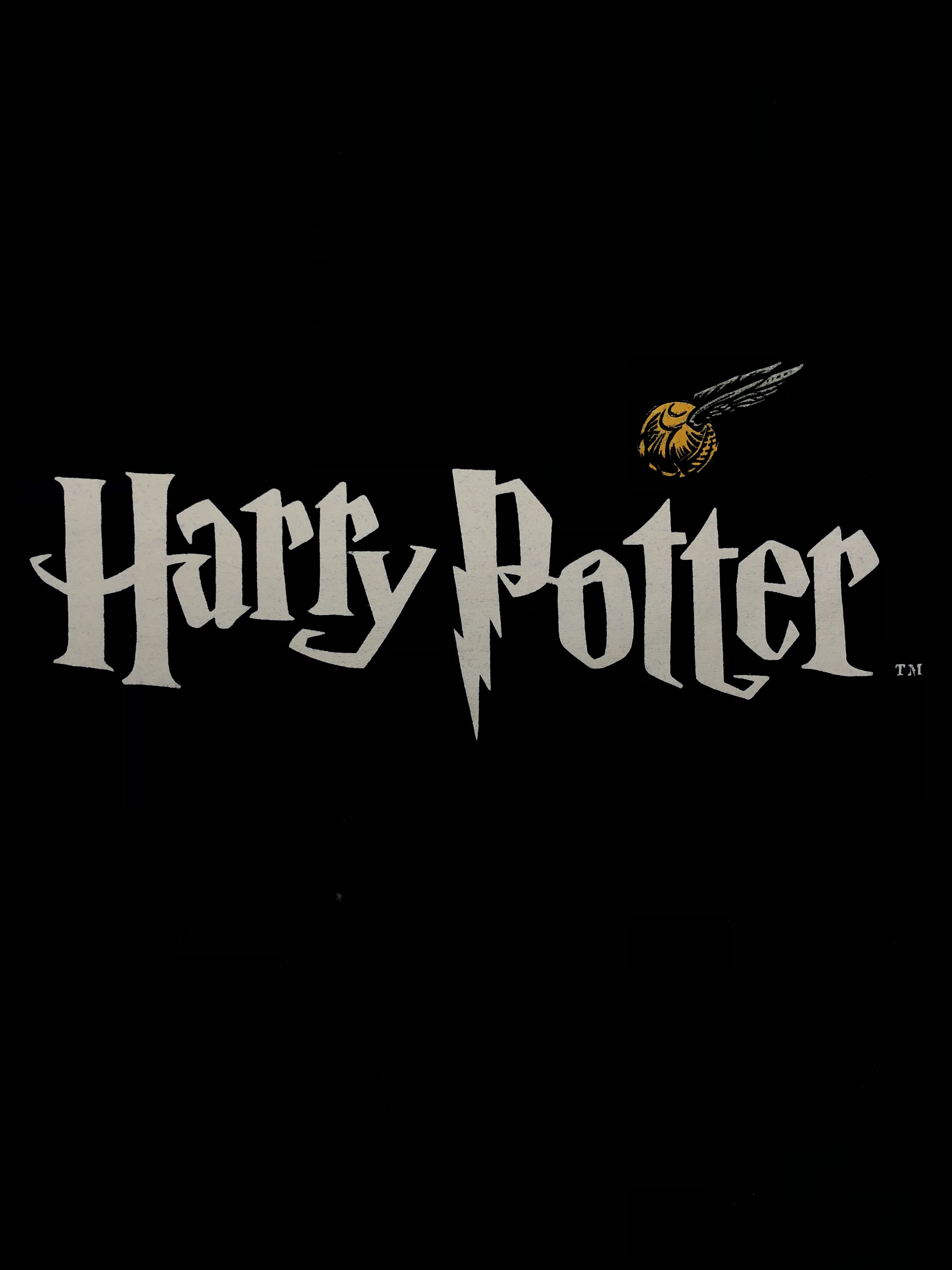 Vintage Vintage 2001 Harry Potter (The Lord of the Rings Indiana ) Size US L / EU 52-54 / 3 - 4 Thumbnail