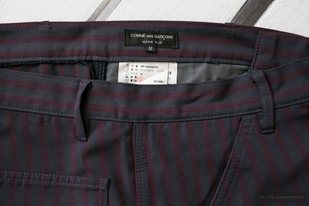 Comme Des Garcons Homme Plus 1999AW pants | Grailed