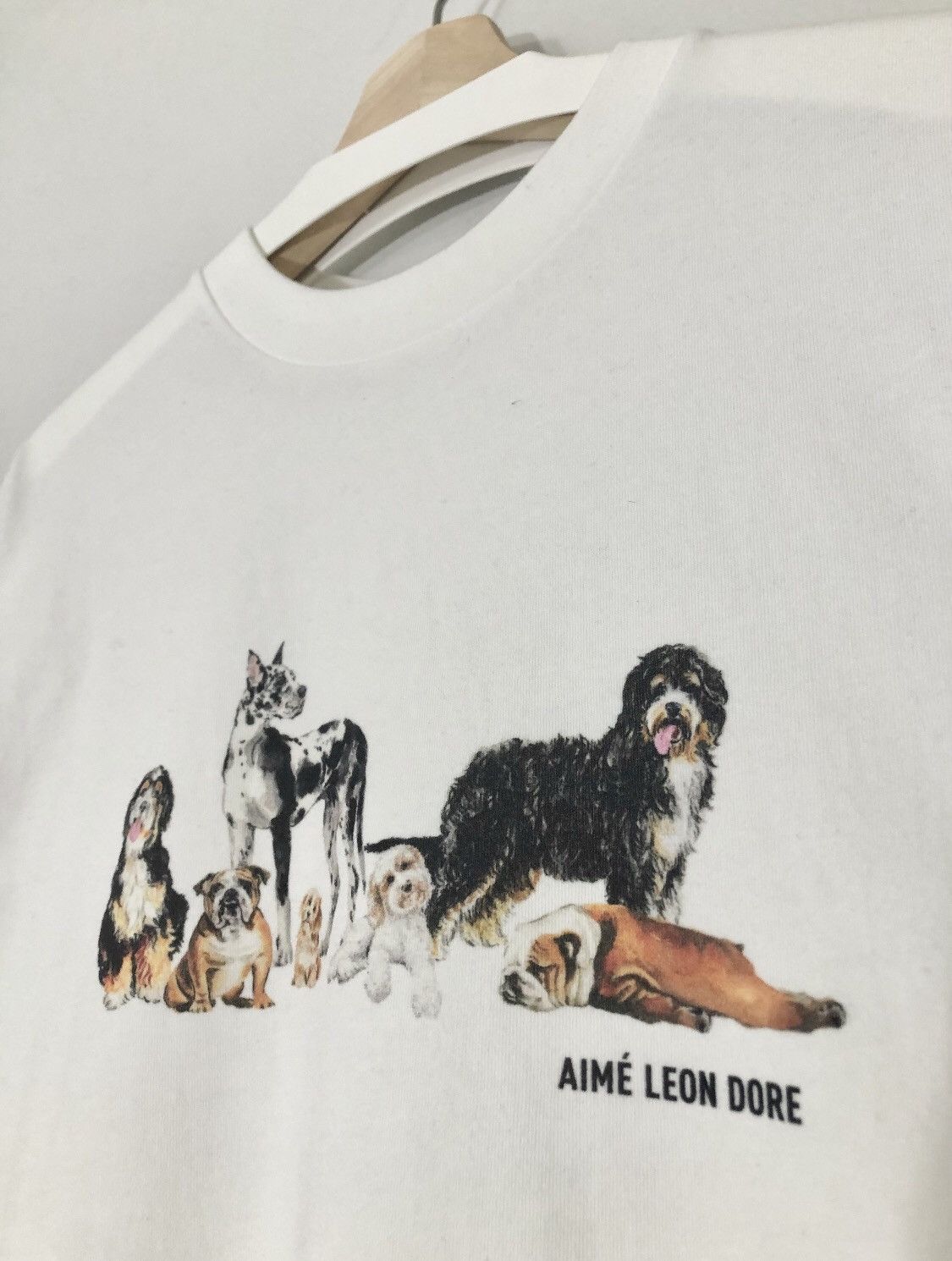 T-shirt Aimé Leon Dore Dog Park Graphic Tee 'White' SU21CT000 WHIT