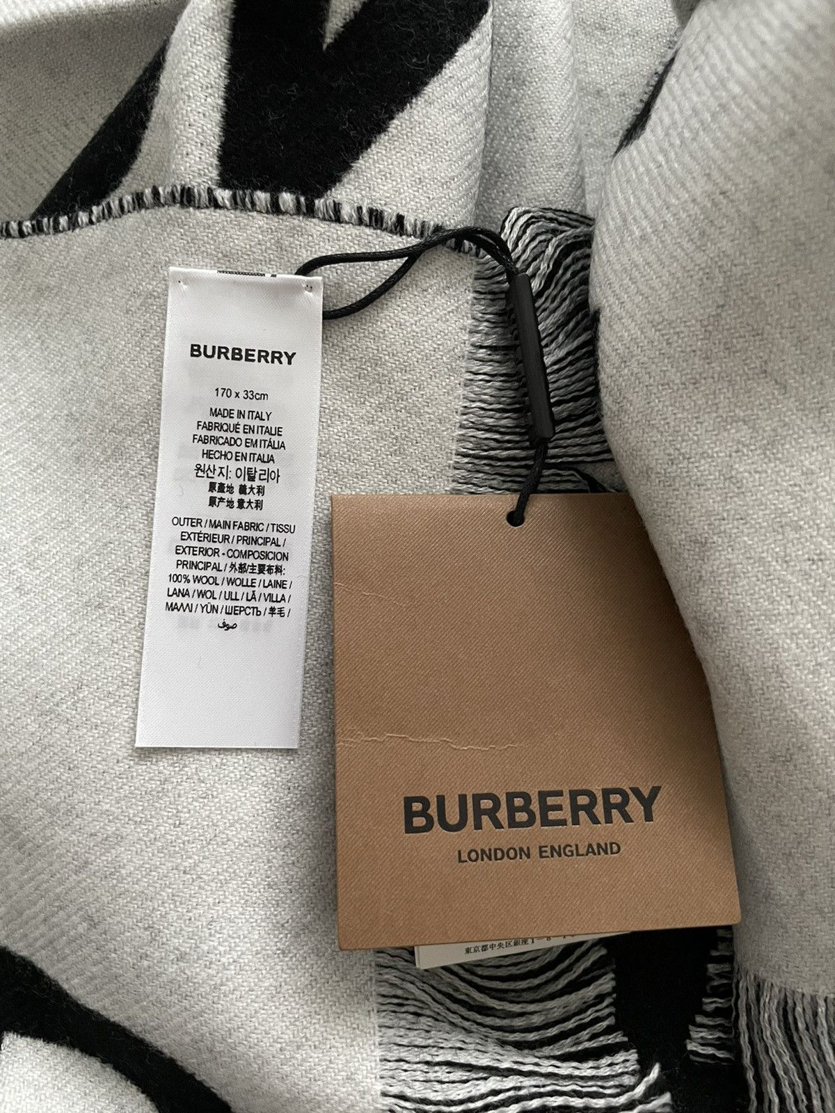 Burberry × Burberry Prorsum Brand NEW Classic Super Runway Burberry Wool Scarf Size ONE SIZE - 9 Thumbnail