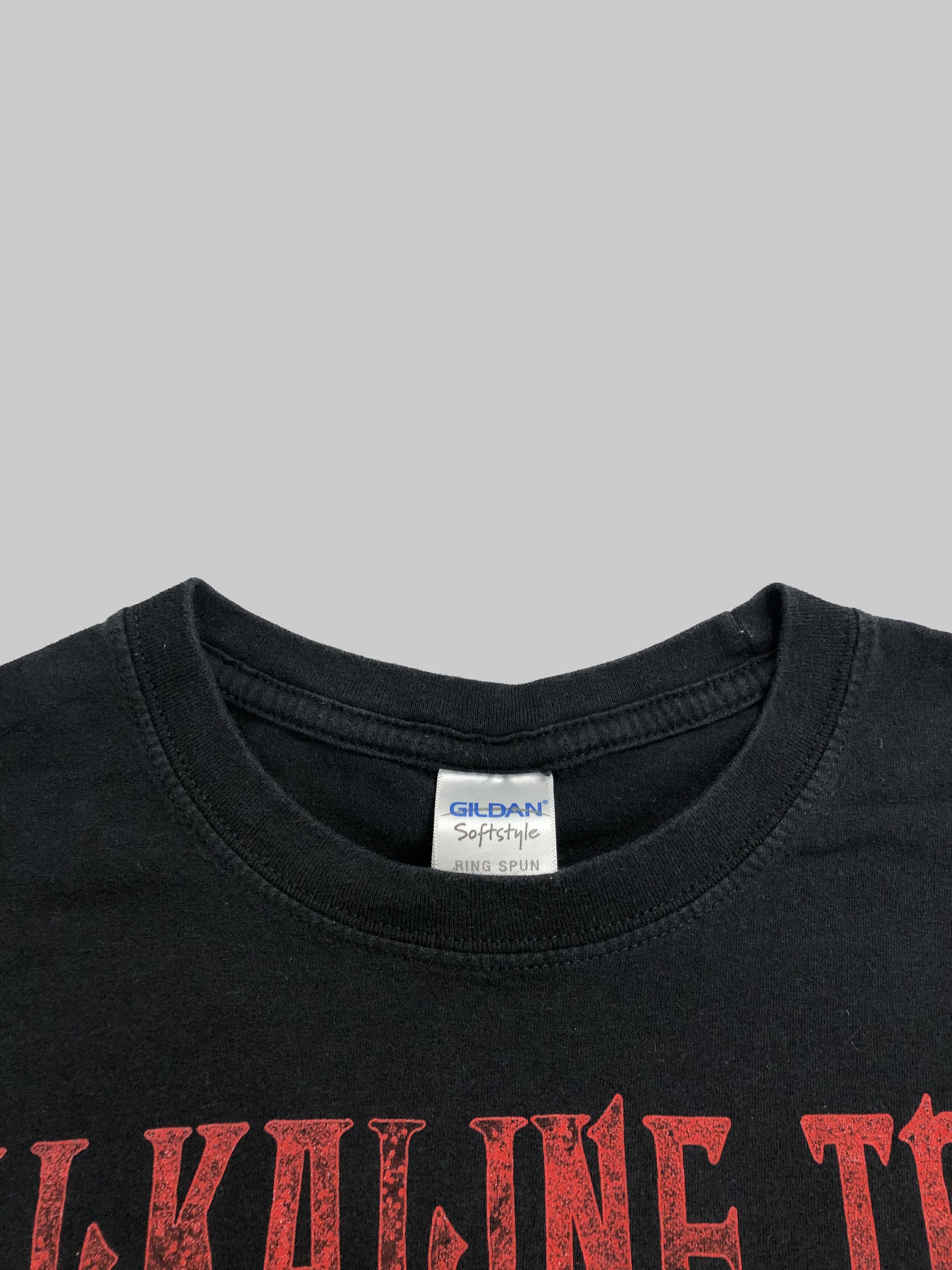 Band Tees Vintage Alkaline Trio (Bad Religion The Starting Line) Size US M / EU 48-50 / 2 - 5 Thumbnail