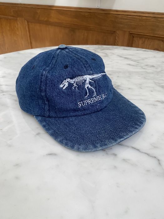 Supreme 2024 dinosaur hat