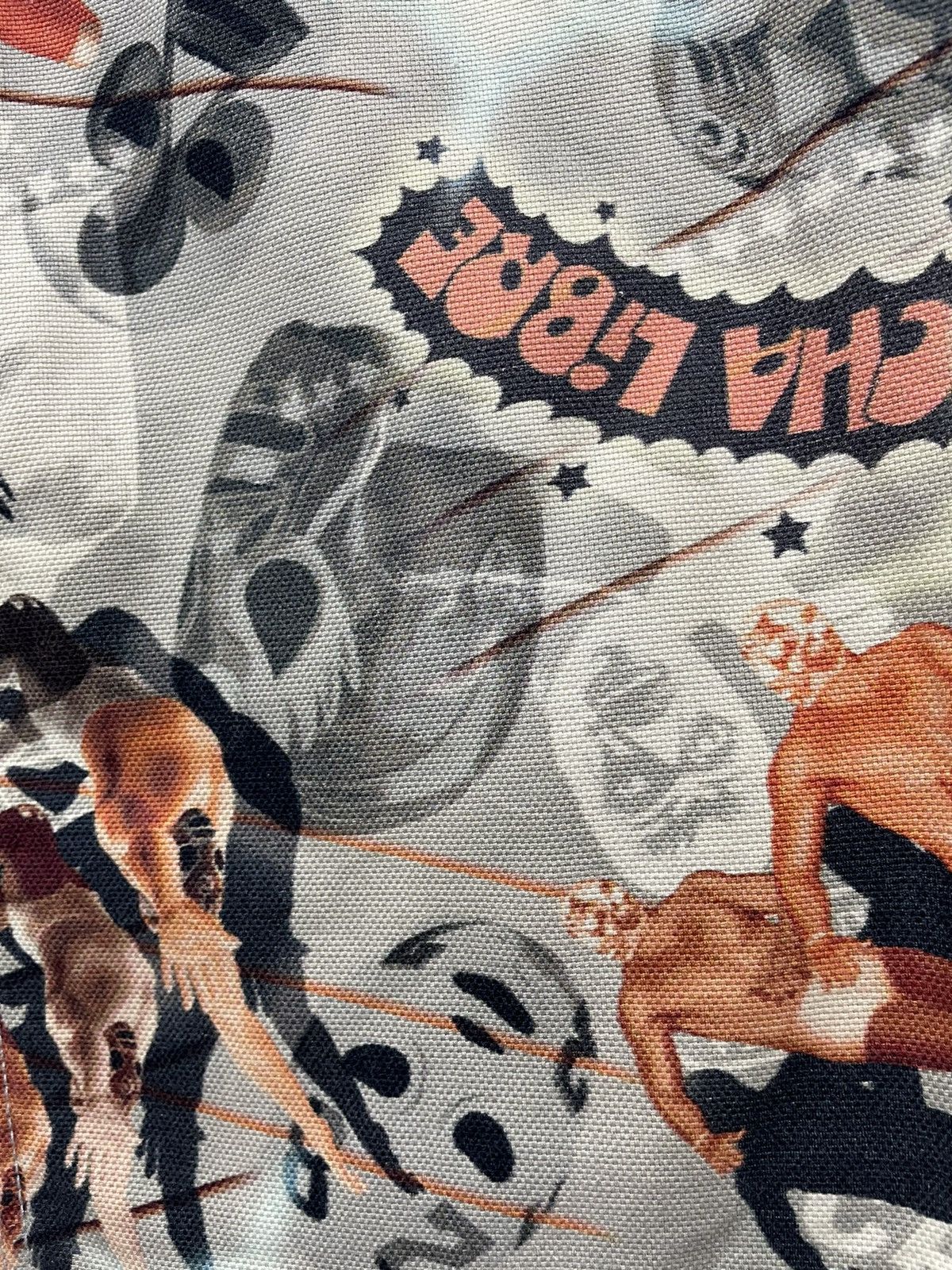 Japanese Brand × WWE 🔥FIRE🔥 CASSOPI Wrestling Over Print Pants Made in Japan Size US 28 / EU 44 - 5 Thumbnail