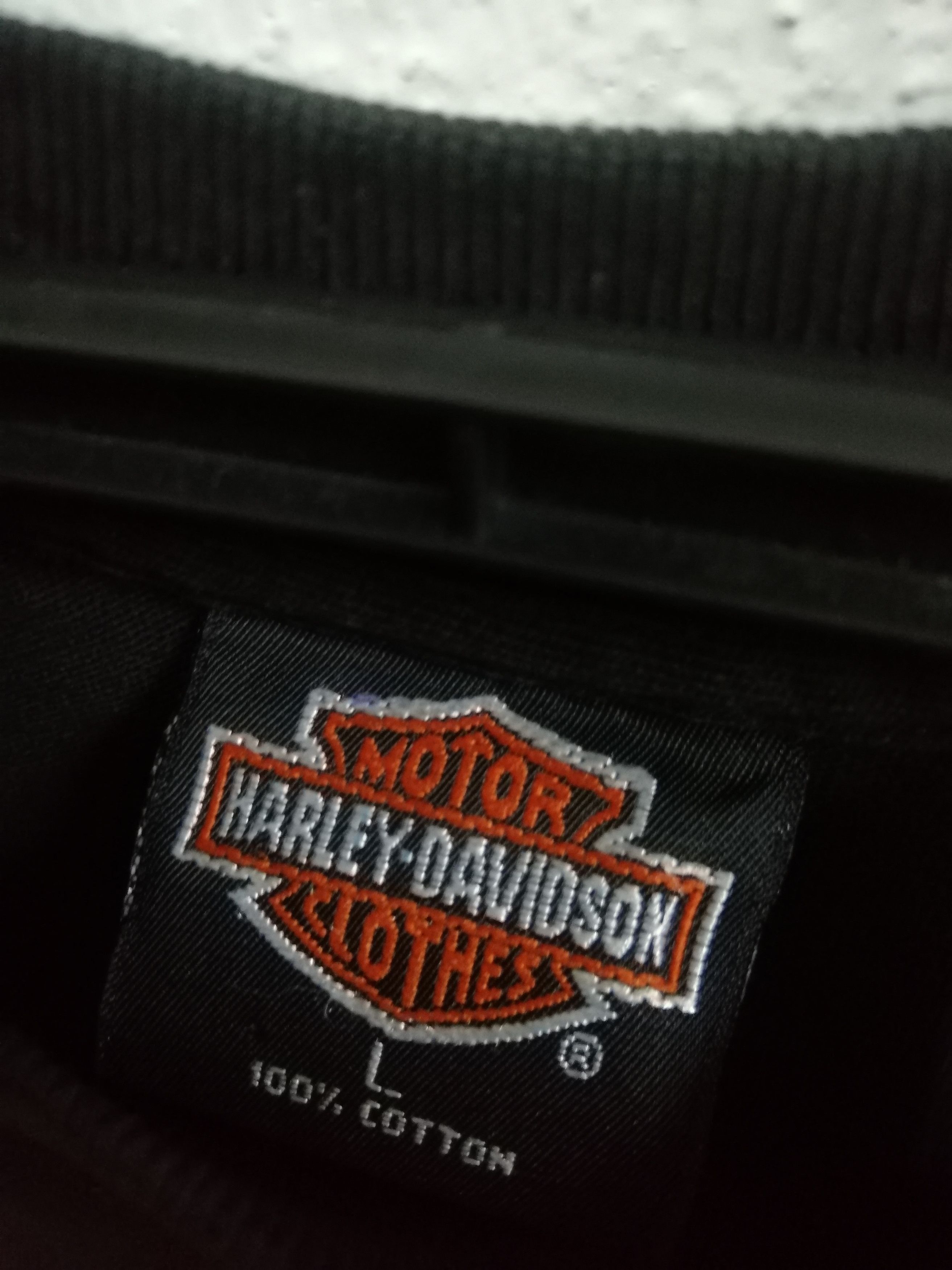 HARLEY DAVIDSON AGAINST THE WIND