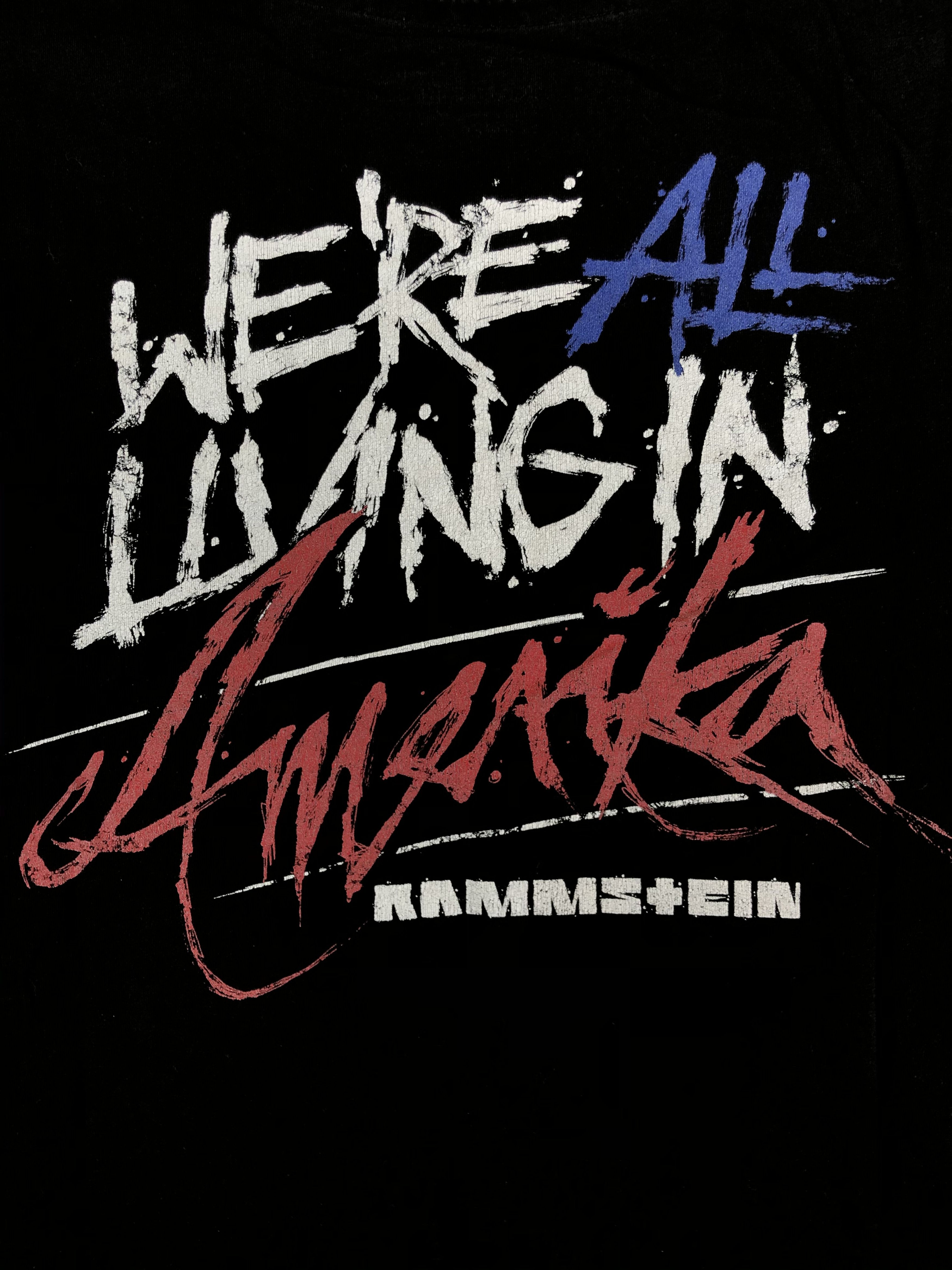 Band Tees Vintage Rammstein in Amerika (Böhse Onkelz Marilyn Manson) Size US L / EU 52-54 / 3 - 6 Thumbnail