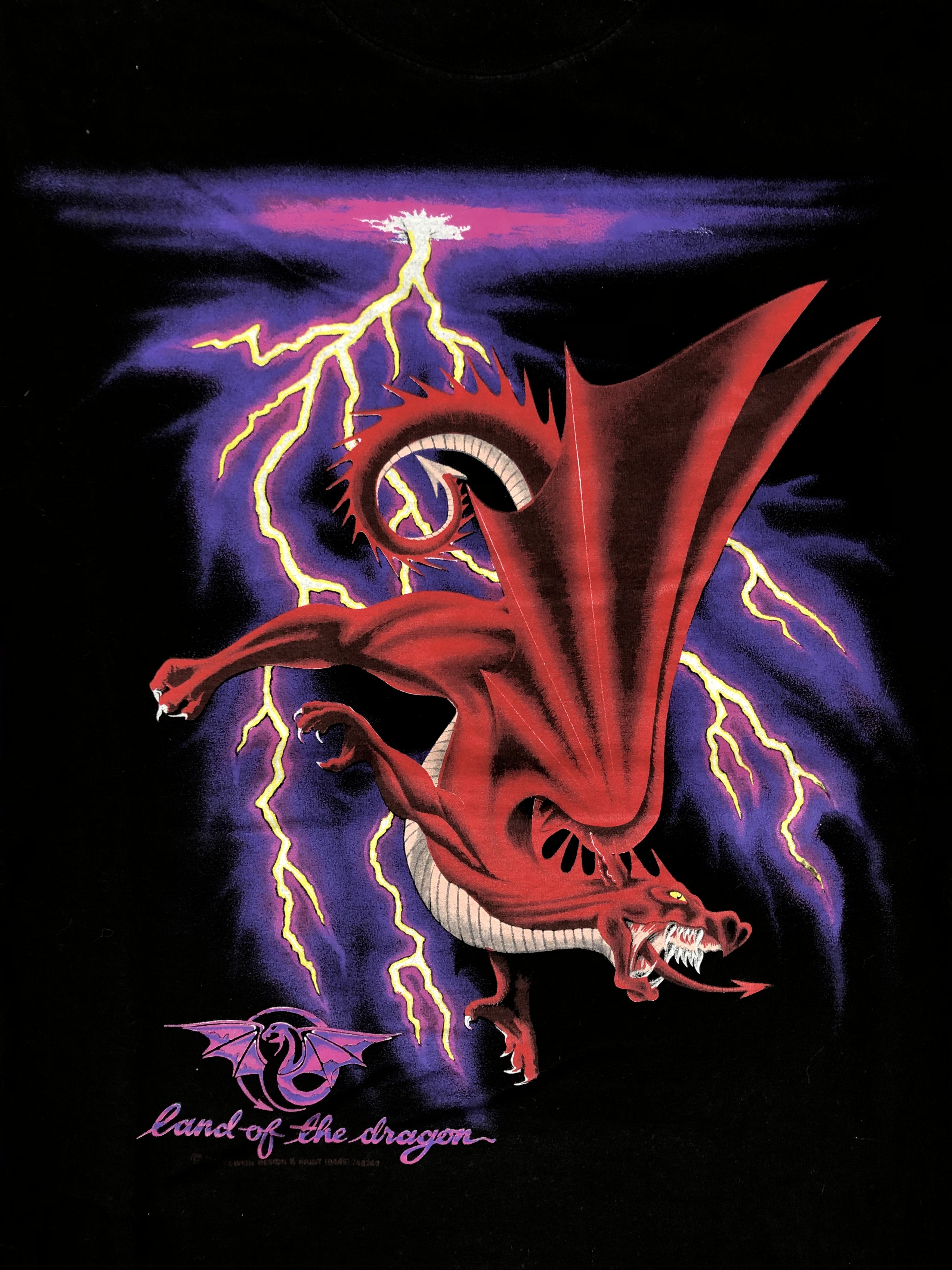 Dragonfly Vintage 1992 Land of the Dragon (Travis Scott) Size US L / EU 52-54 / 3 - 3 Thumbnail