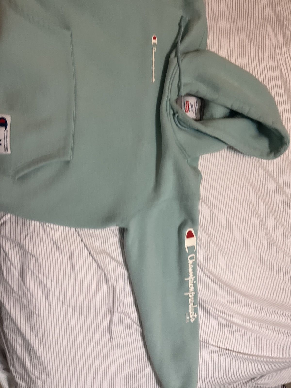 Champion Supreme Mint Supreme X Champion Sweatshirt Grailed