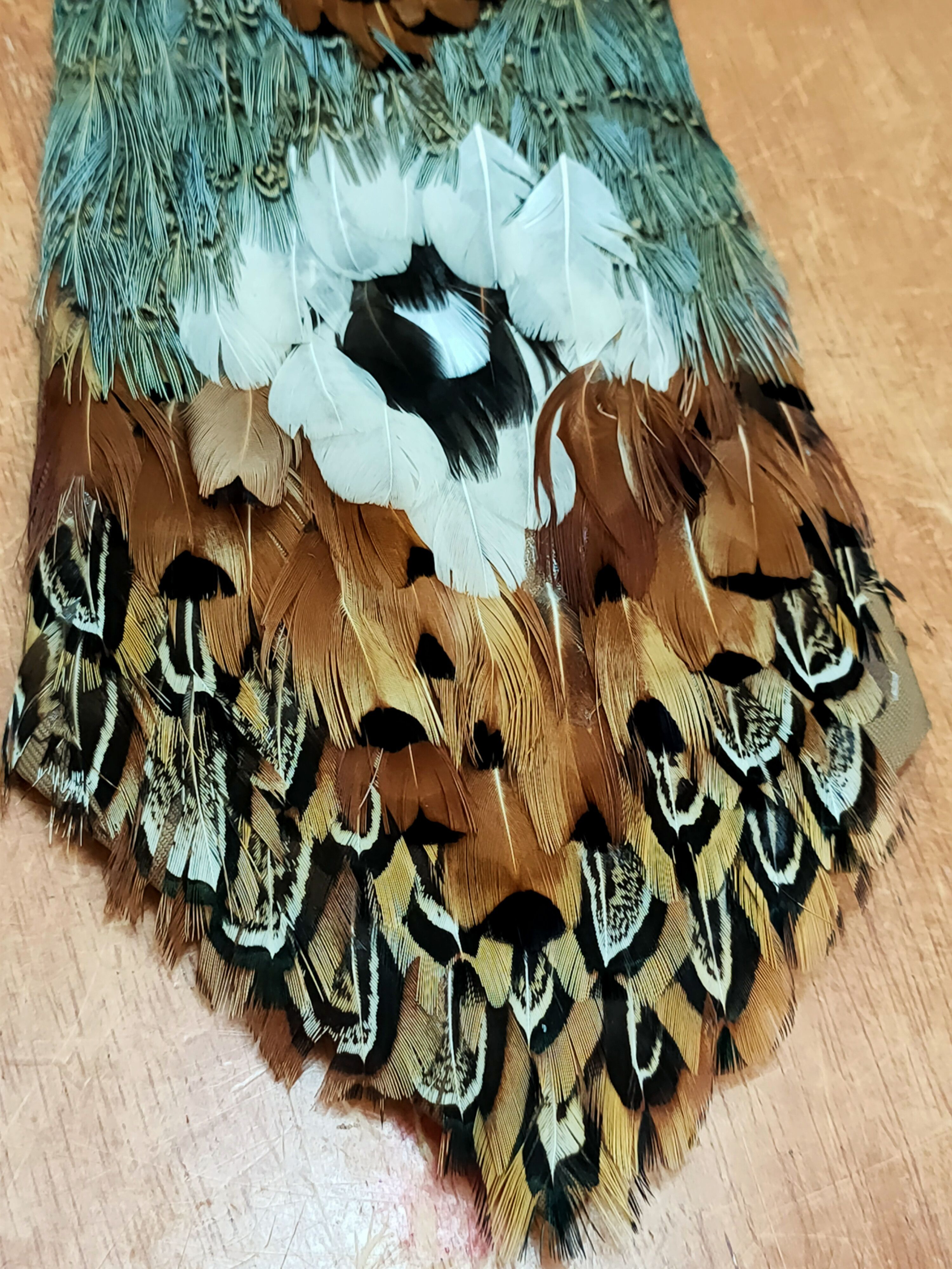 Other Bird feather tie Size ONE SIZE - 6 Thumbnail