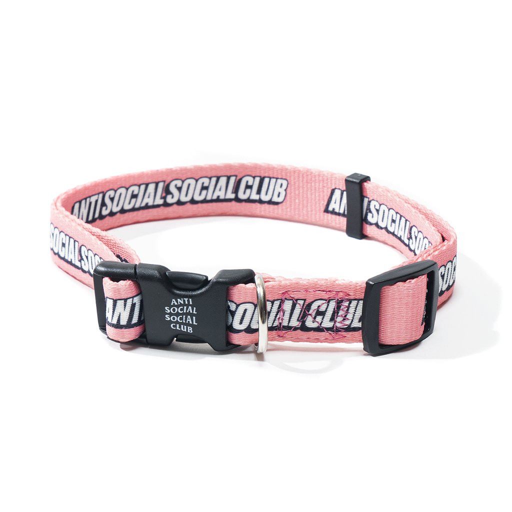 Anti Social Social Club DS ASSC Blocked White Logo VVS Pink Dog Collar in hand BAPE Grailed