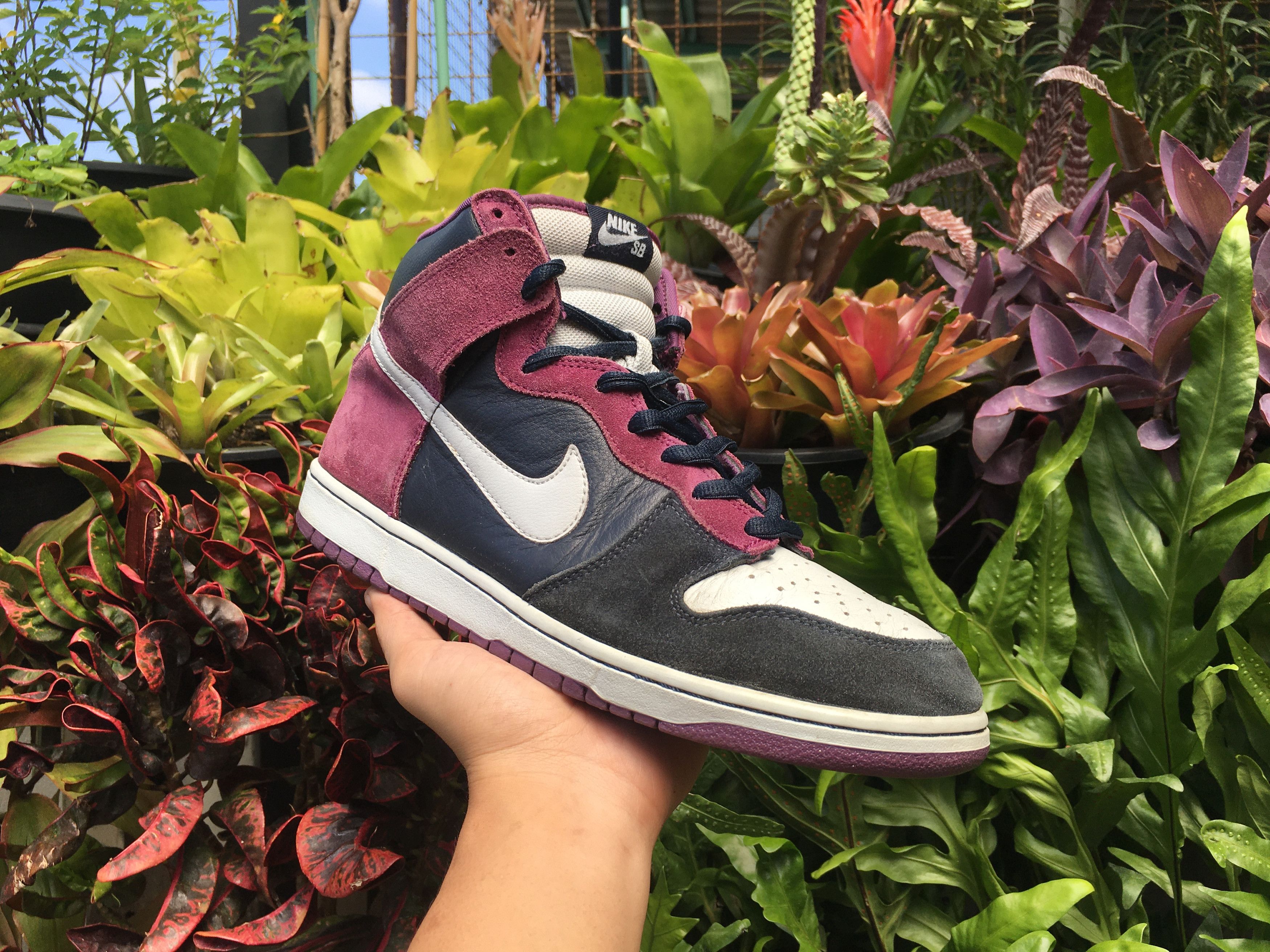 Dunk high clearance sb heaven's gate