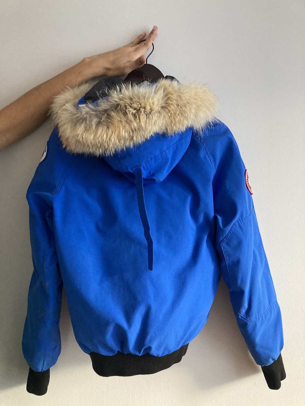 Canada Goose Women's PBI Chilliwack Bomber Jacket Size US S / EU 44-46 / 1 - 3 Thumbnail