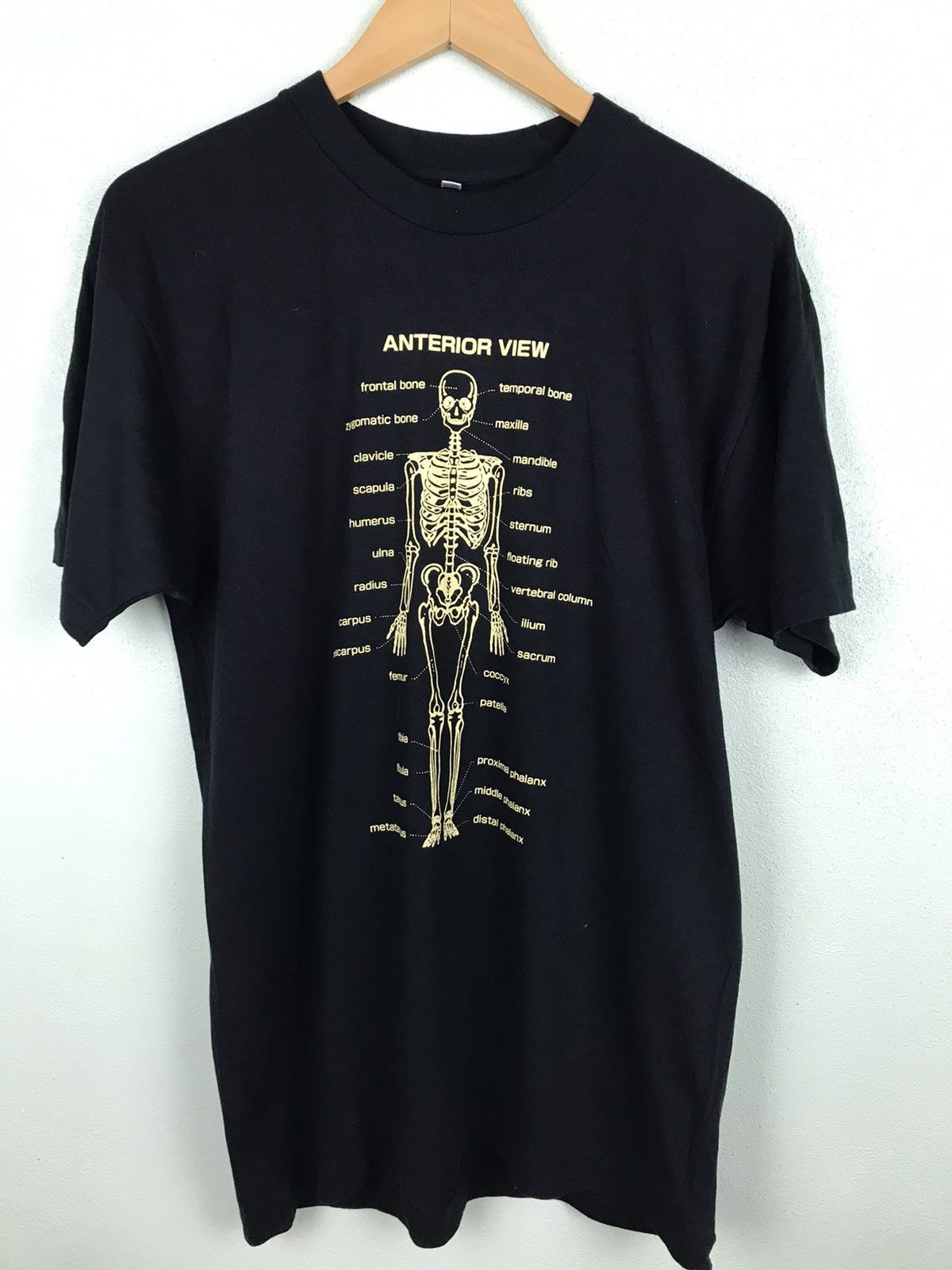 Human Skeleton Anatomy Tshirt gh1120