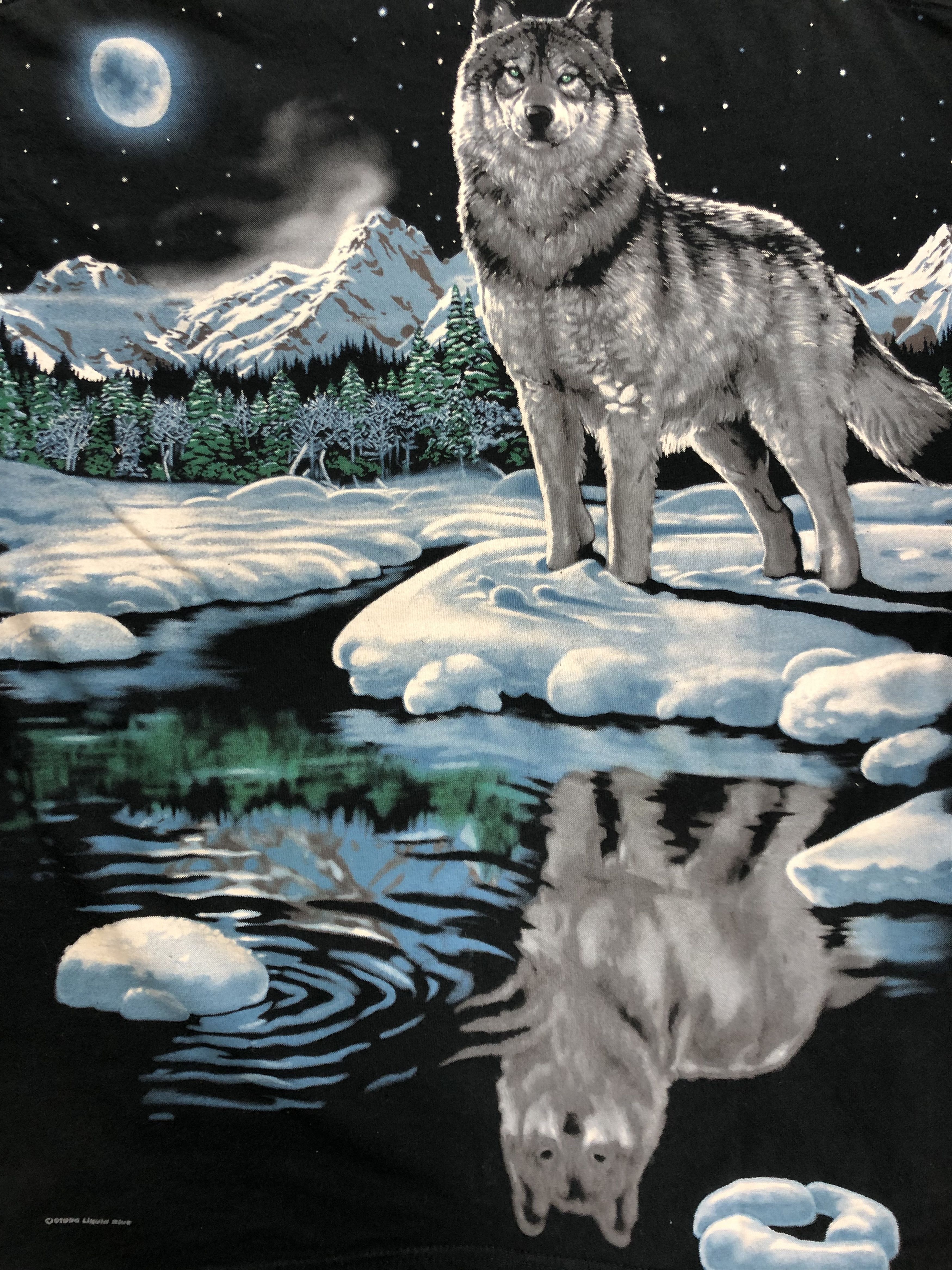 Liquid Blue Vintage 1995 Liquid Blue Wolf Travis Scott All Over Print Size US XL / EU 56 / 4 - 12 Thumbnail