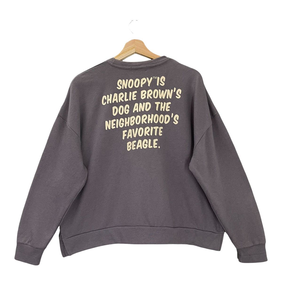 Cartoon Network Snoopy Big Logo Printed Crewneck Sweatshirt OverSize S Size US S / EU 44-46 / 1 - 6 Thumbnail