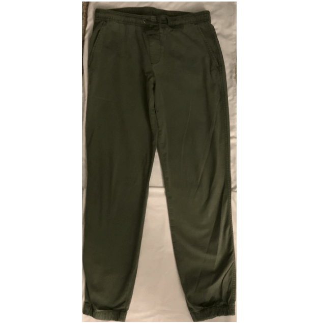 Slim canvas best sale joggers with gapflex