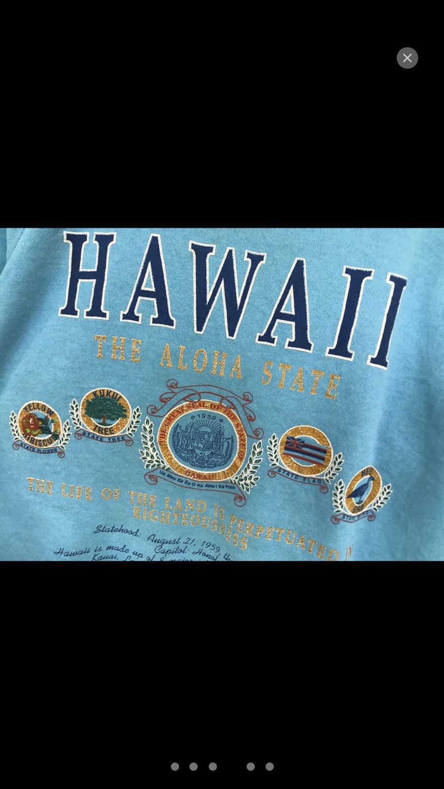 Vintage Vintage 90’s Aloha State Sea Blue Jumper Sweatshirt Size US M / EU 48-50 / 2 - 3 Thumbnail