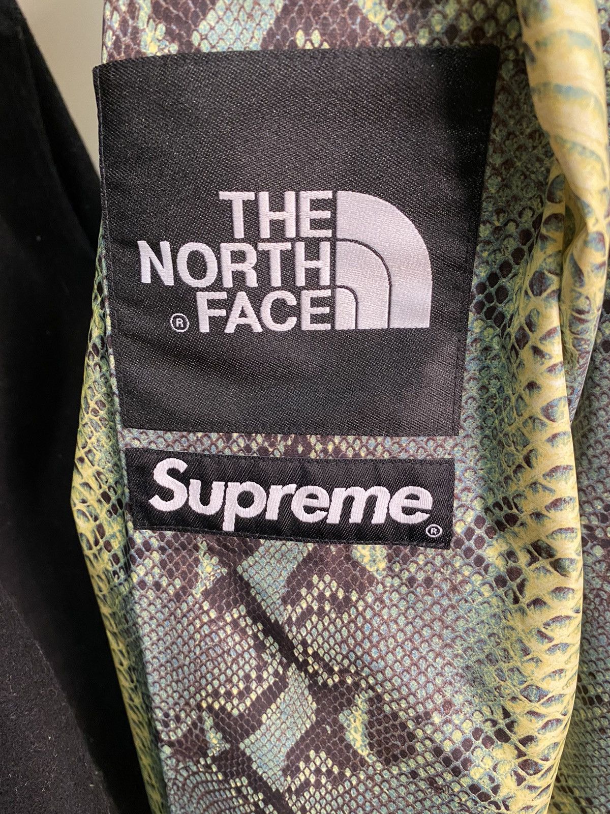 Supreme × The North Face Supreme The North Face Snakeskin