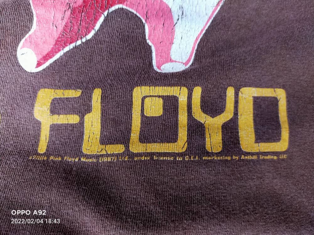 Pink Floyd Vintage Y2K Pink Floyd Band Tee Size US M / EU 48-50 / 2 - 8 Thumbnail