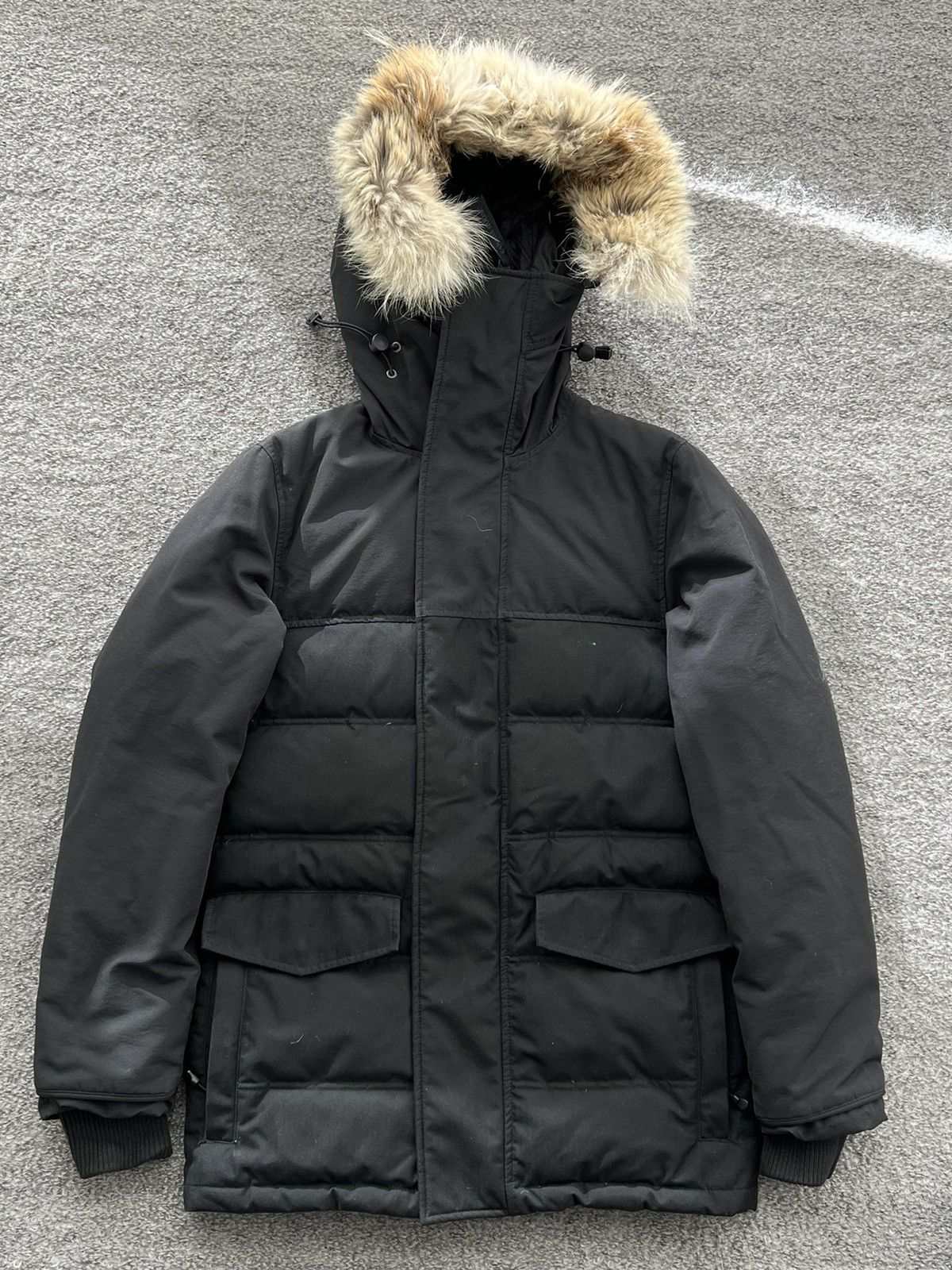 Clarence coat black label hotsell