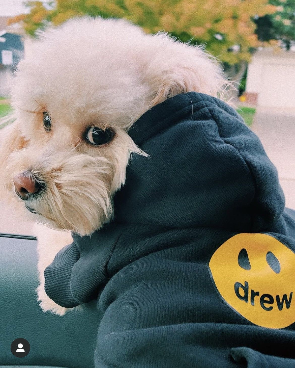 Drew House Drew House Dog Mascot Hoodie | Grailed