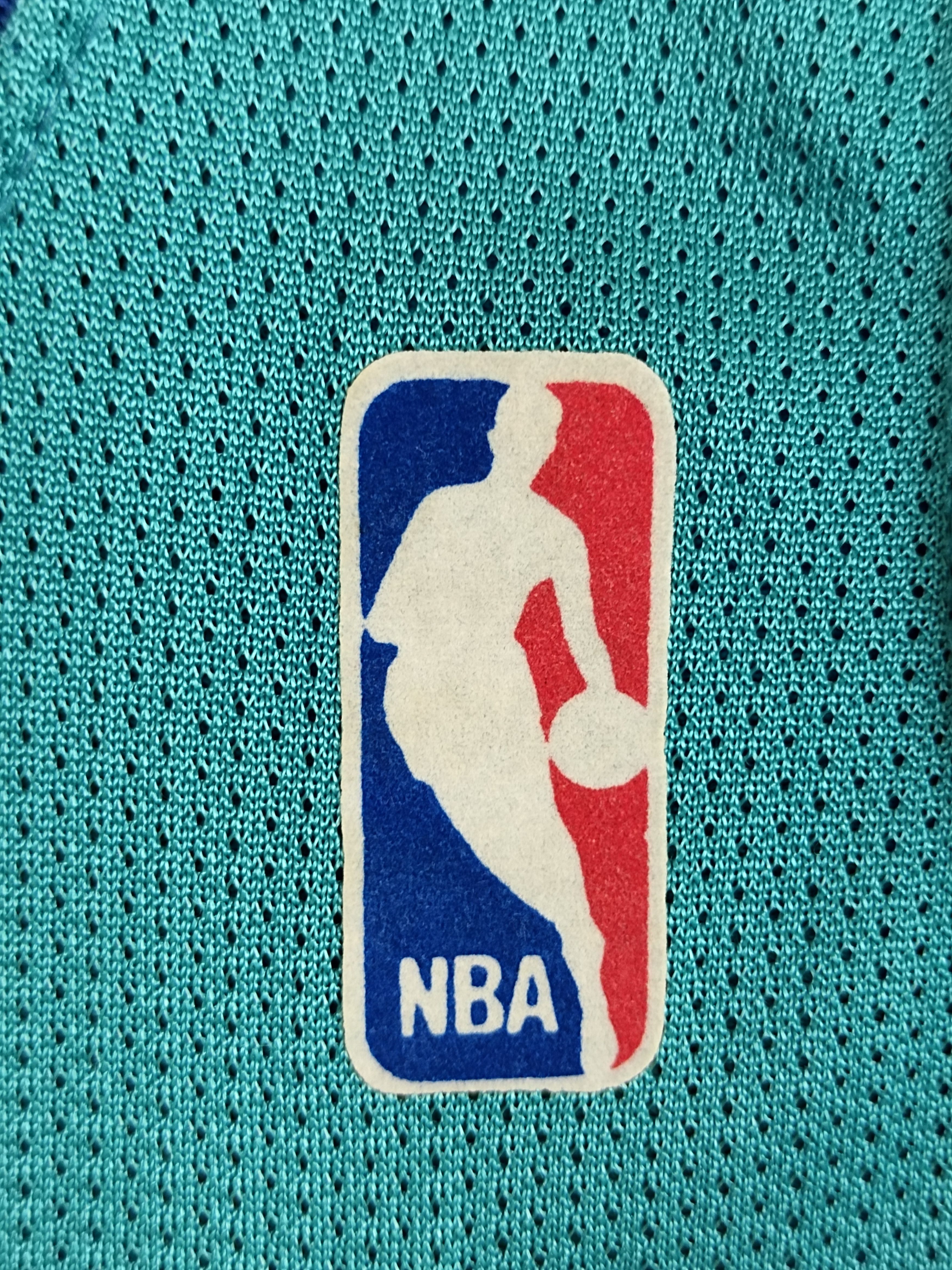 Champion Vintage 90s Champion Larry Johnson #2 NBA Charlotte Hornets Size US M / EU 48-50 / 2 - 4 Thumbnail
