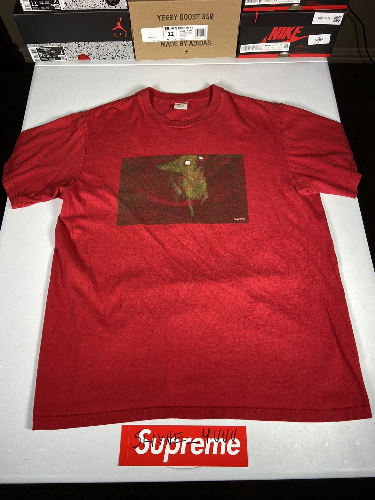 Chihuahua tee supreme 2025
