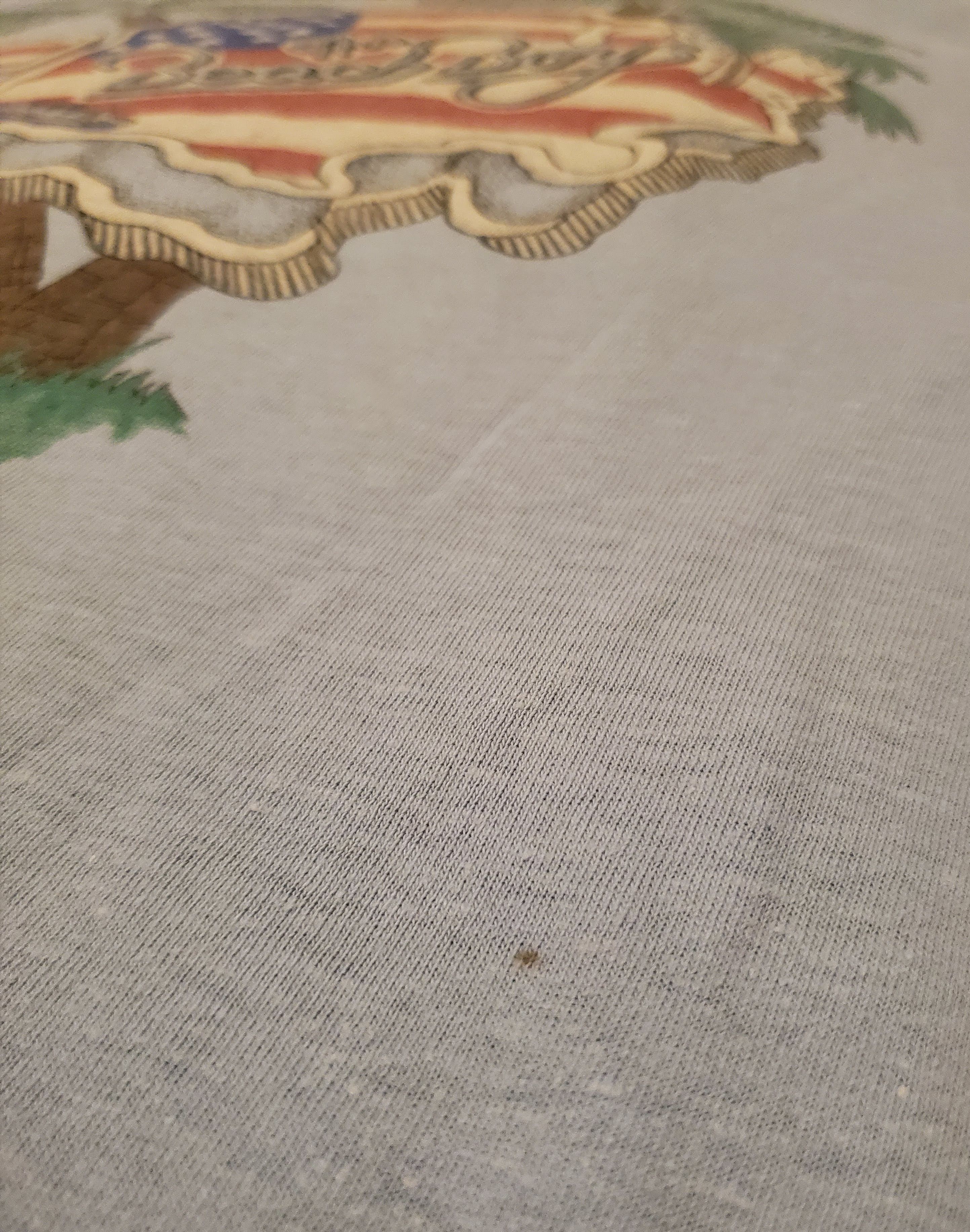 Band Tees × Vintage Beach Boys US Tour 1982 Size US M / EU 48-50 / 2 - 2 Thumbnail