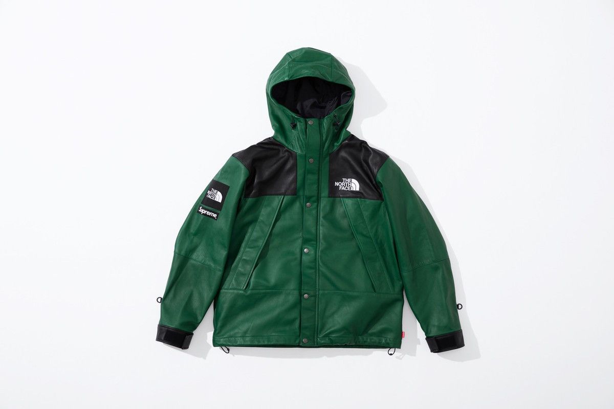 Supreme The North Face Leather Mountain Parka | Grailed