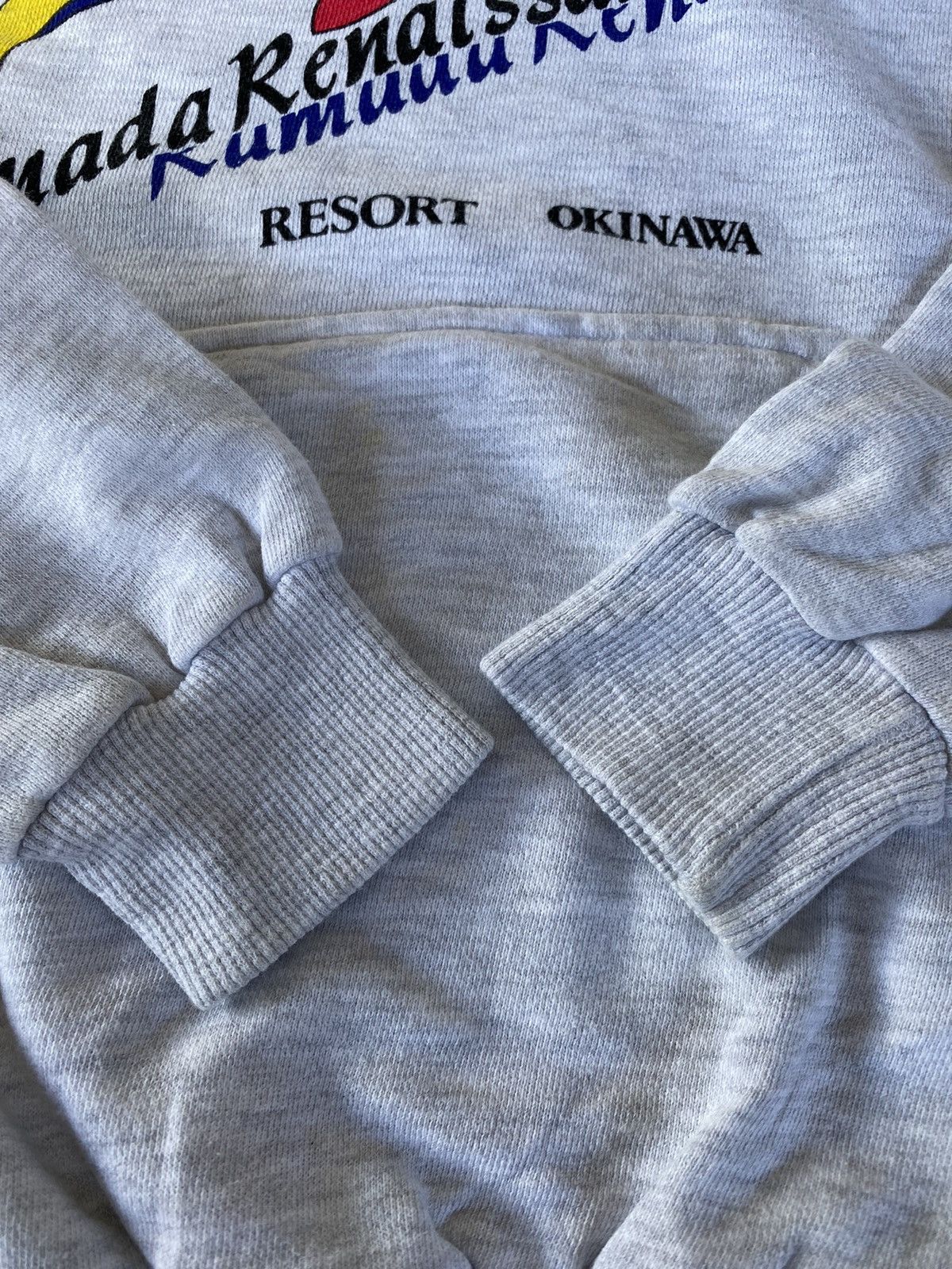 Vintage Vintage Ramada Renaissance Dolphin Hoodie Boxy Size US M / EU 48-50 / 2 - 4 Thumbnail